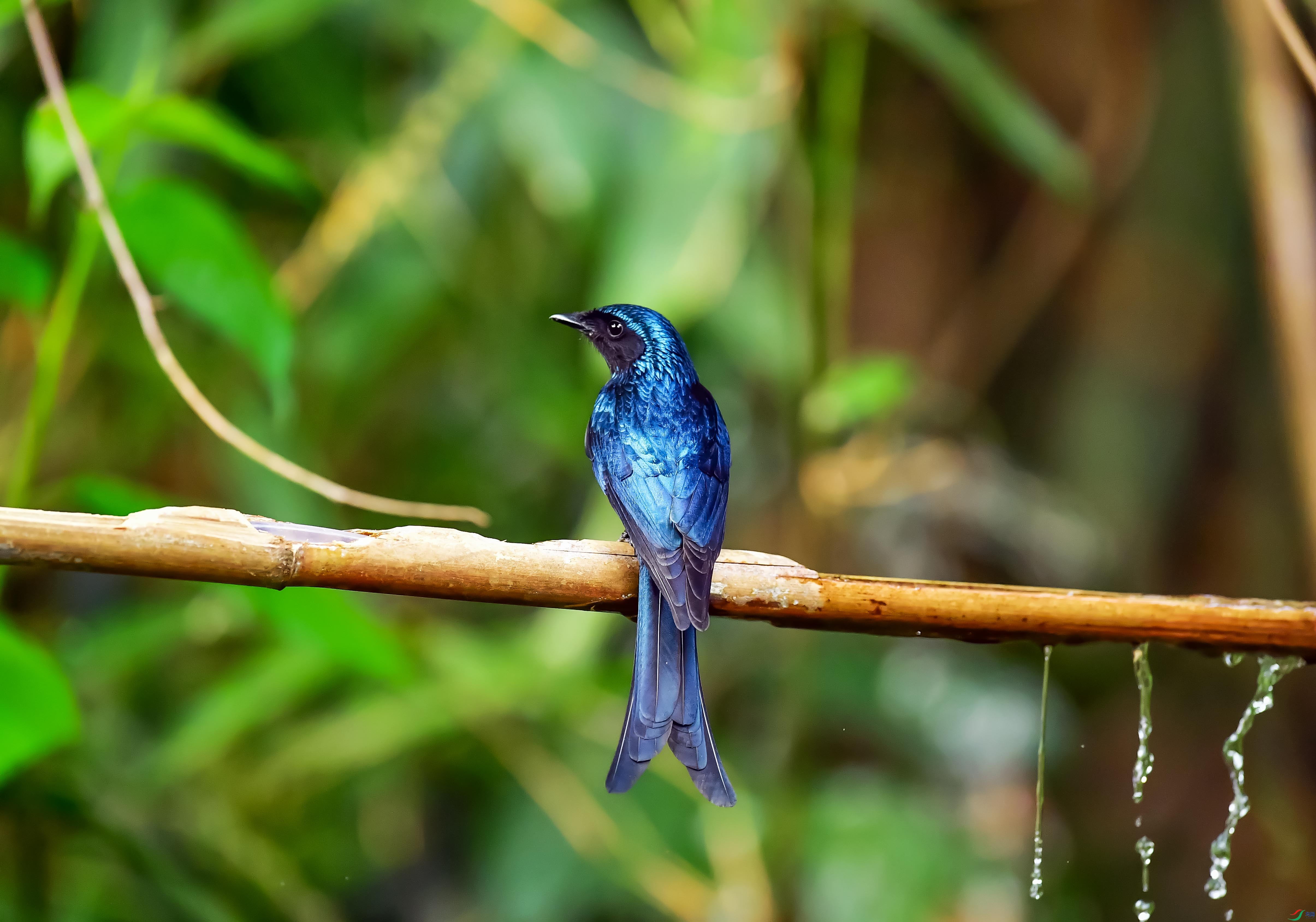 DSC_7528.jpg