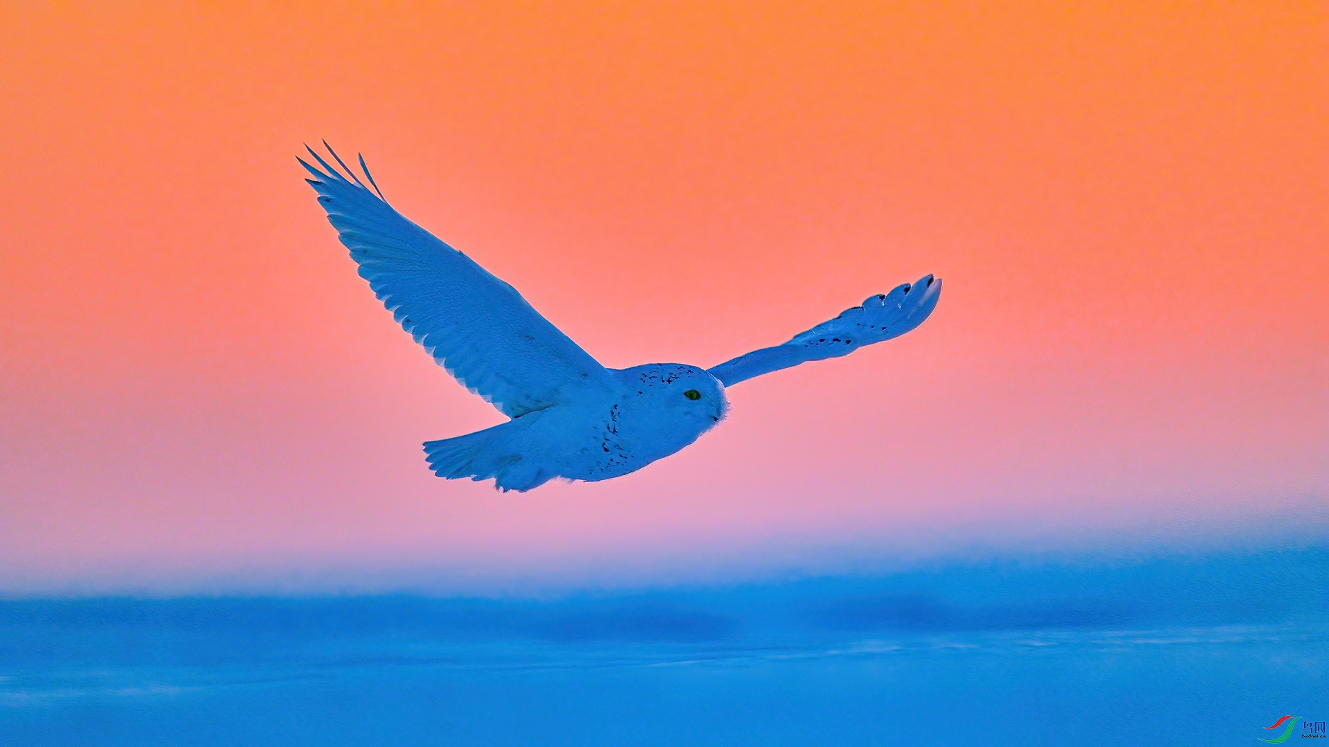 XIA_4499 ����.jpg