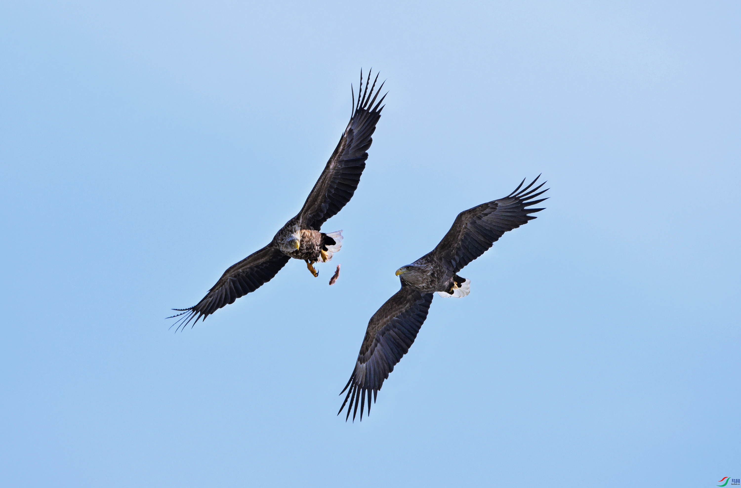 DSC_4647.jpg