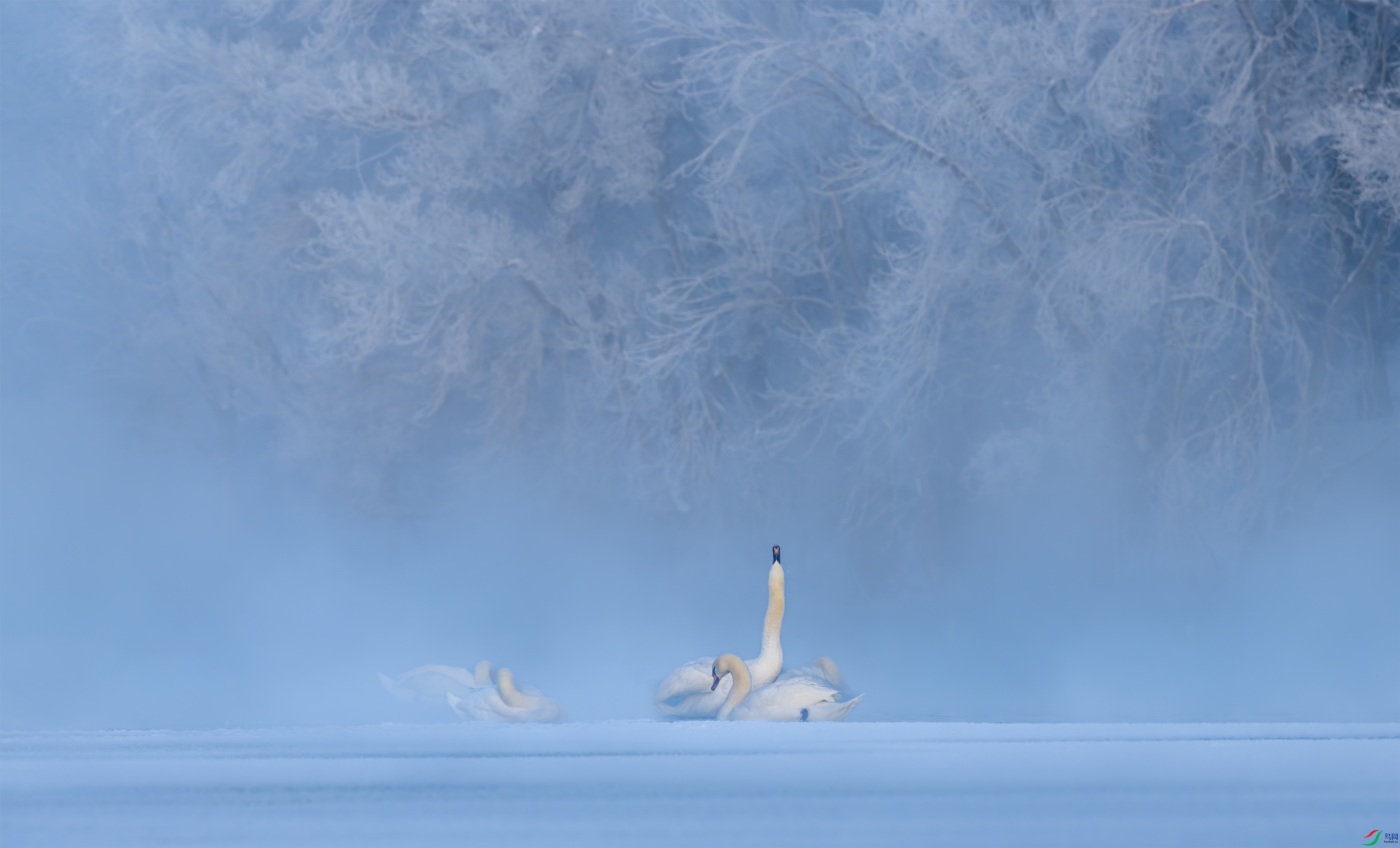 DSC_2031-11.jpg