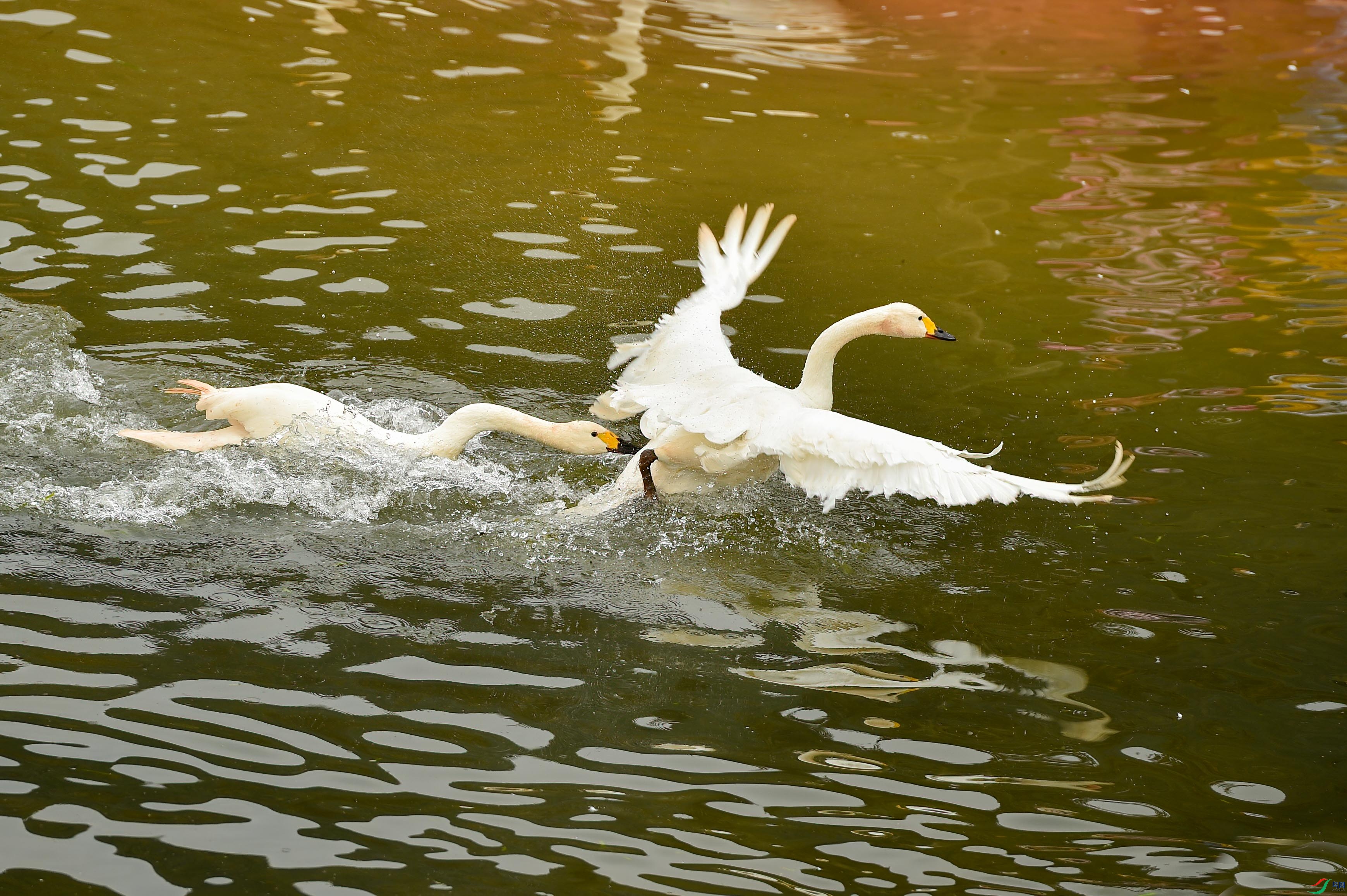 sen2016 2-2-13-�༭.jpg