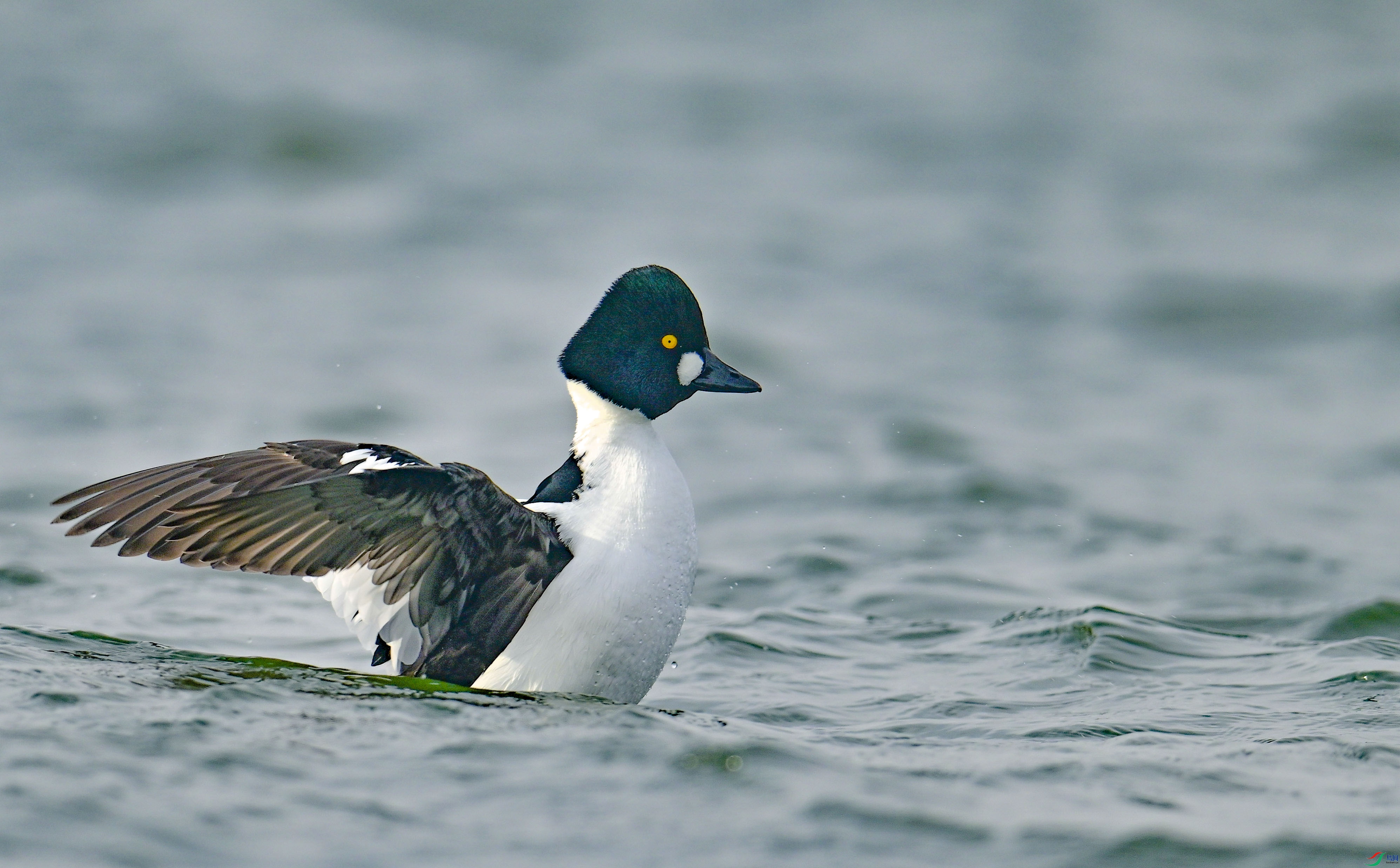 DSC_5723.jpg