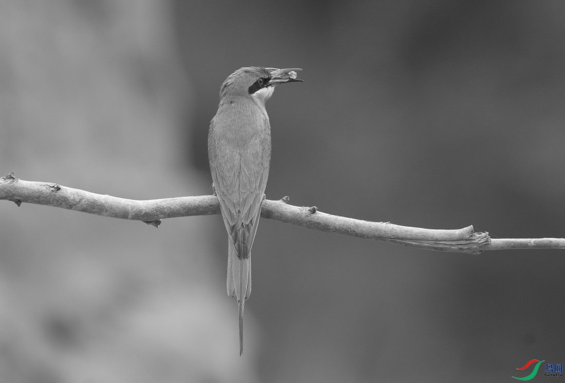 _DSC9590zc_������С.jpg