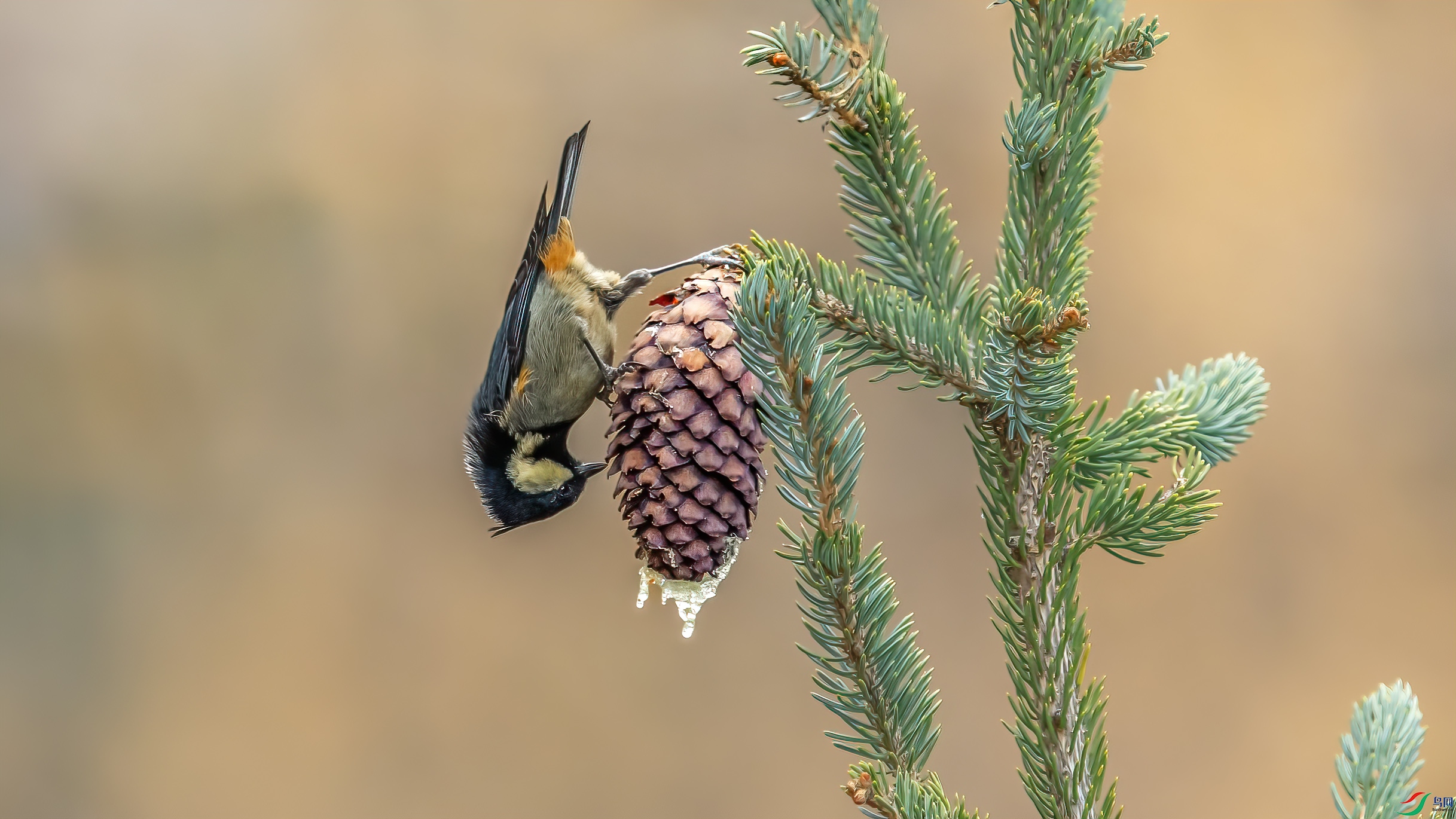 _09R7601 ����.jpg