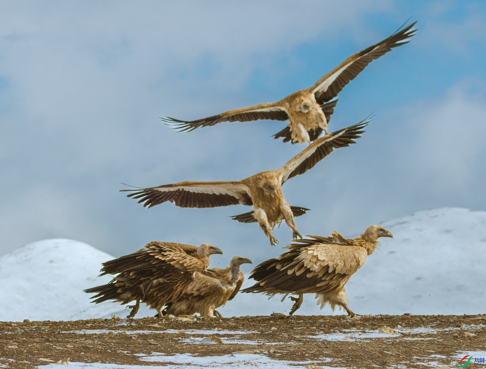 ��ɽأ��1M5A0974.jpg