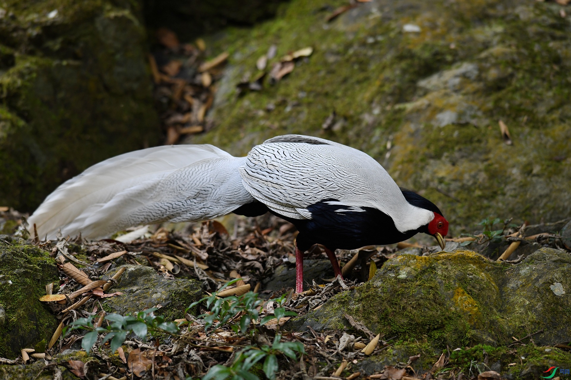 DSC_3695.jpg