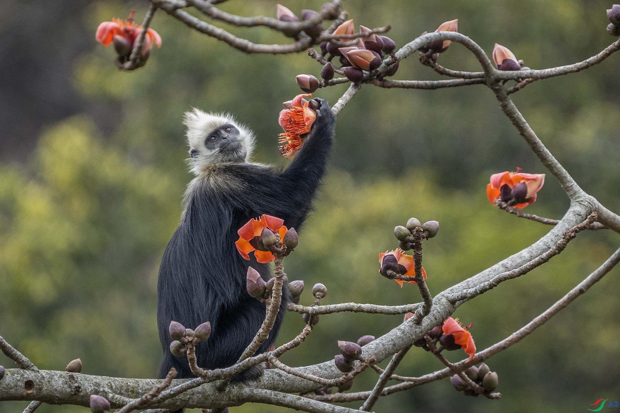 DSC02752 ����111111111111111.jpg