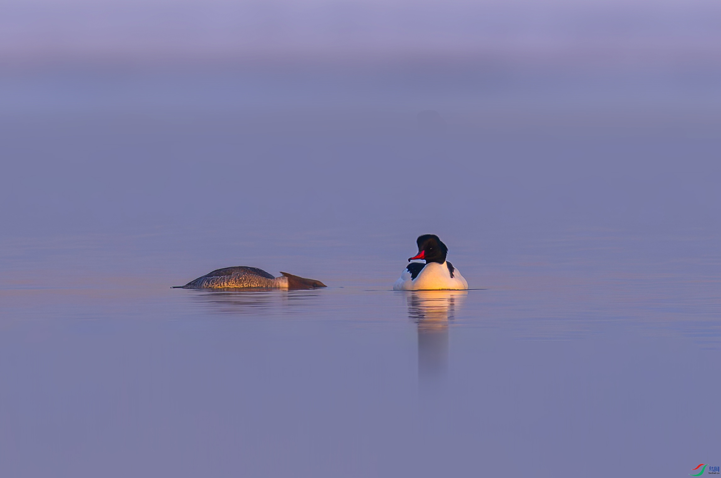 _JIL0338-.jpg