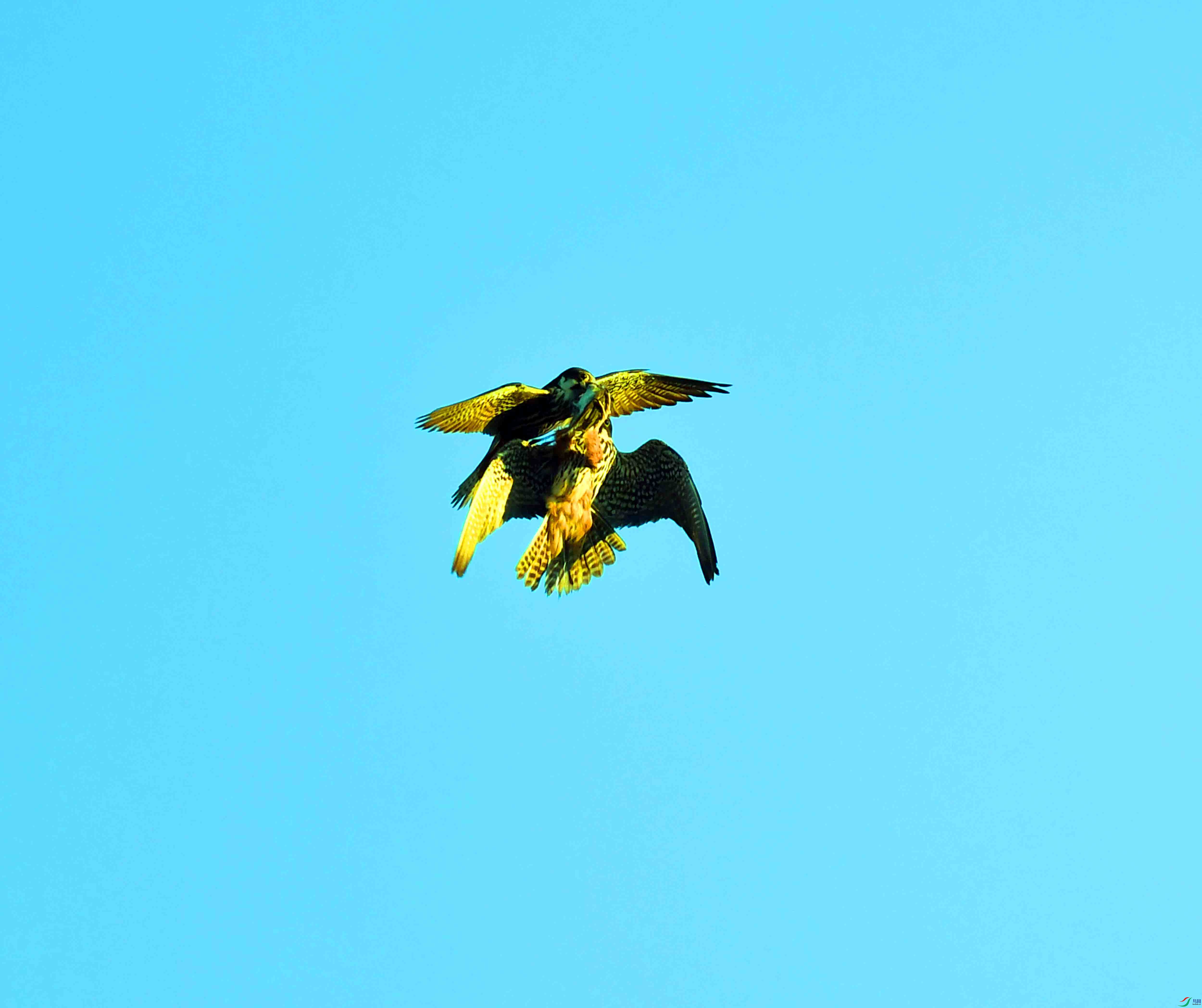 DSC_3428.JPG