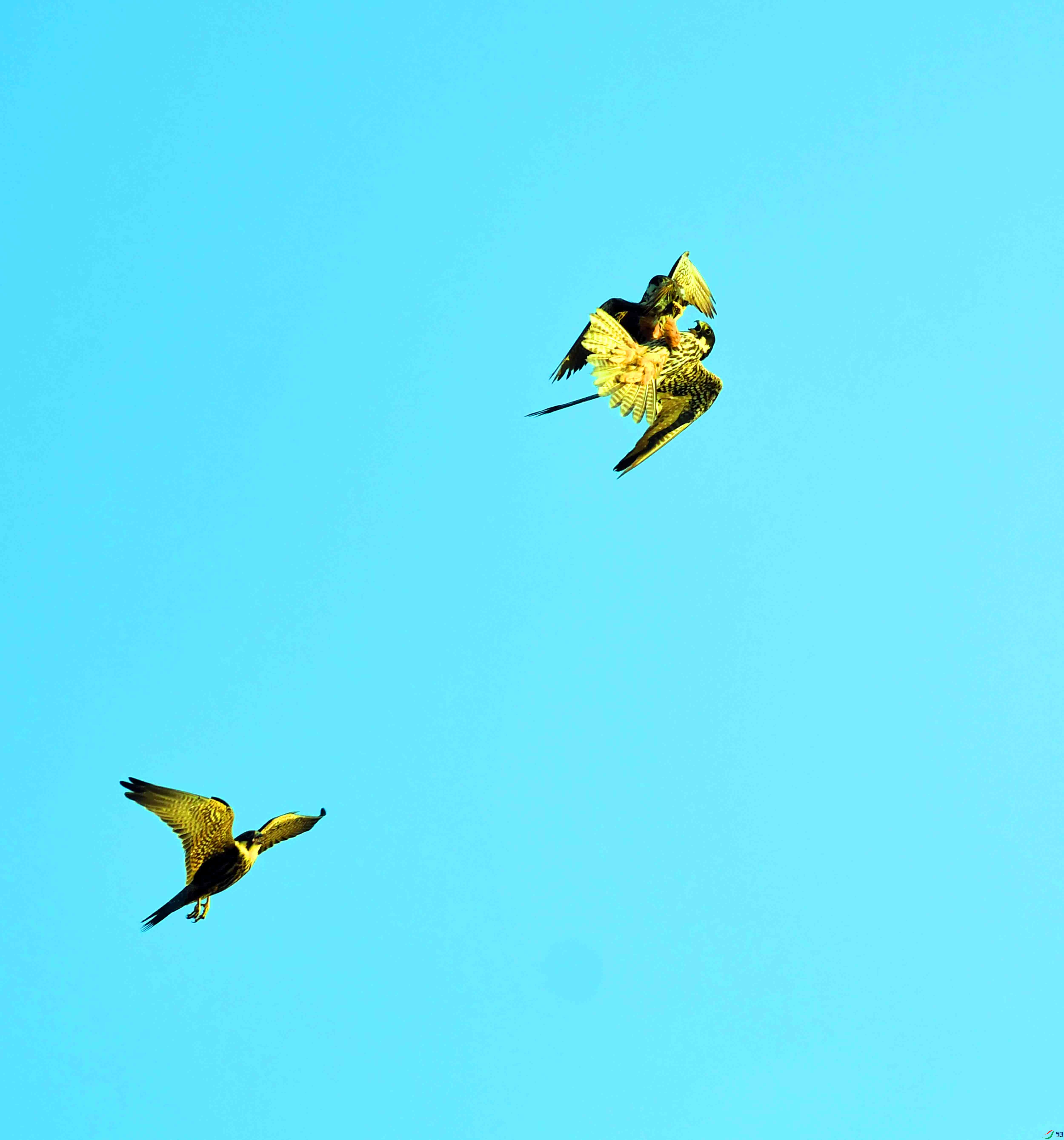 DSC_3429.JPG