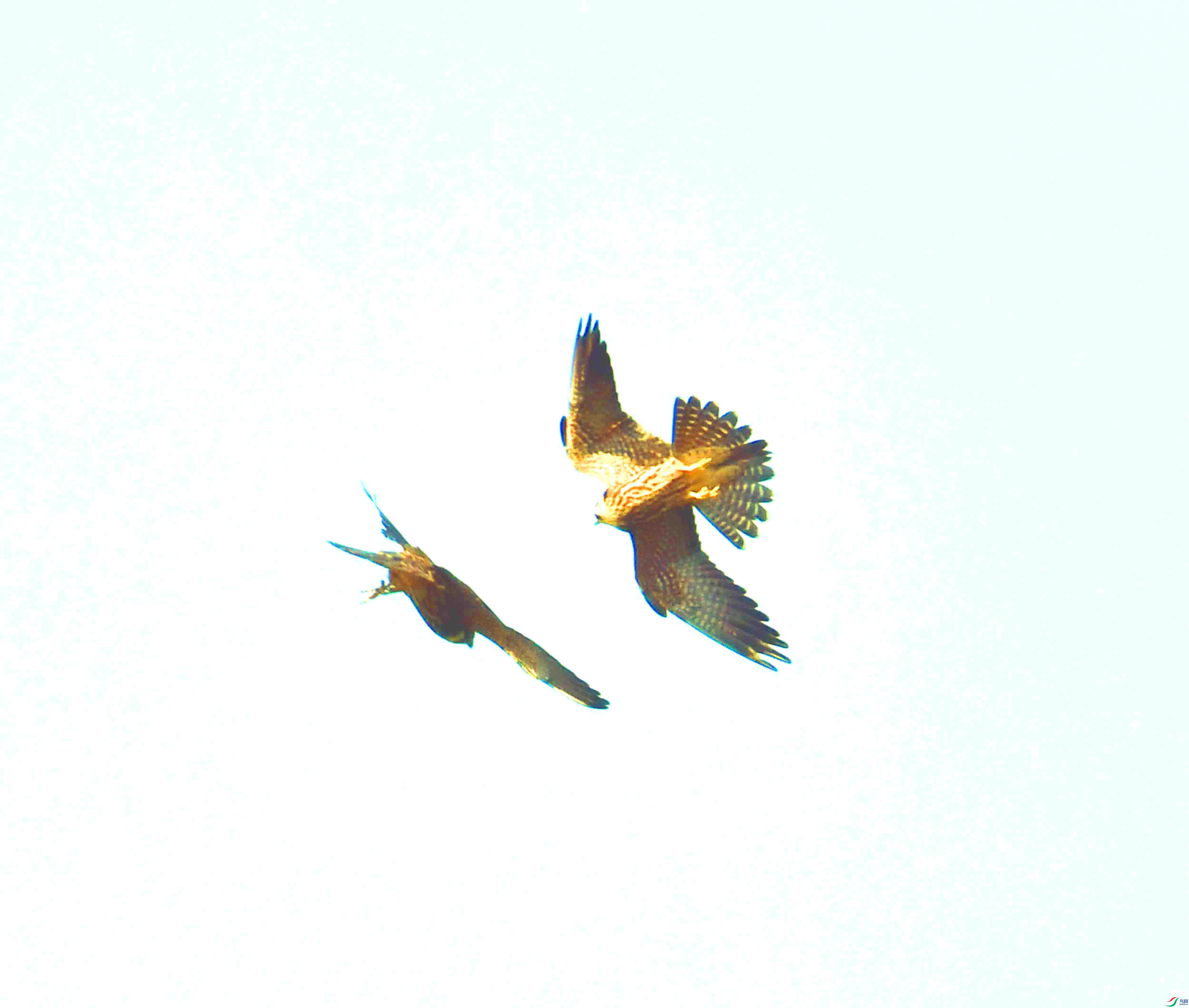 DSC_4158.JPG