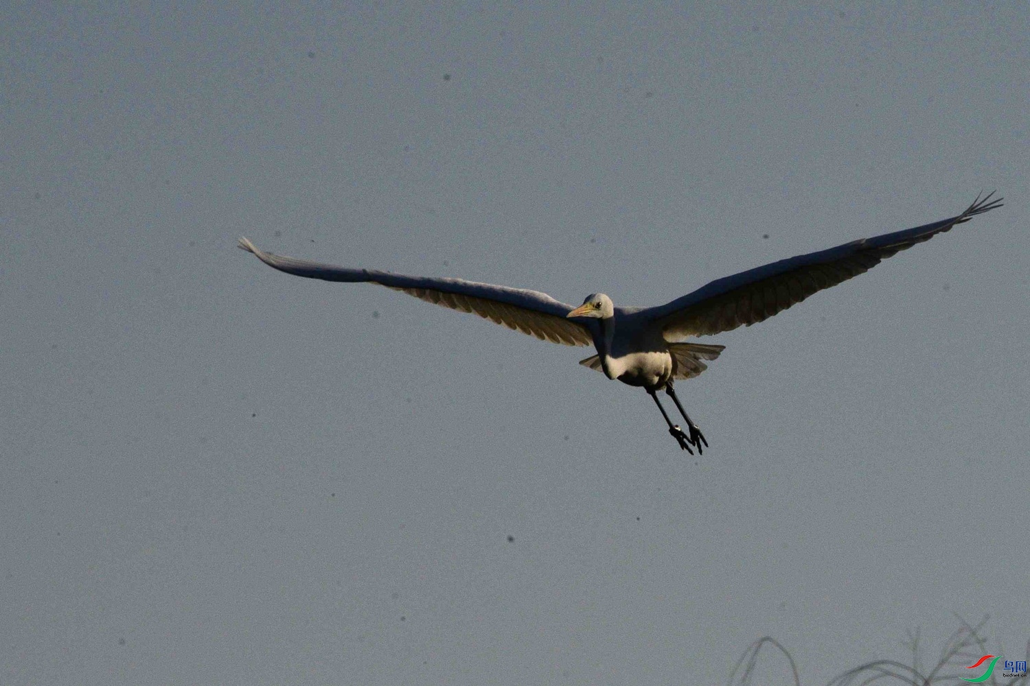 DSC_0064.JPG