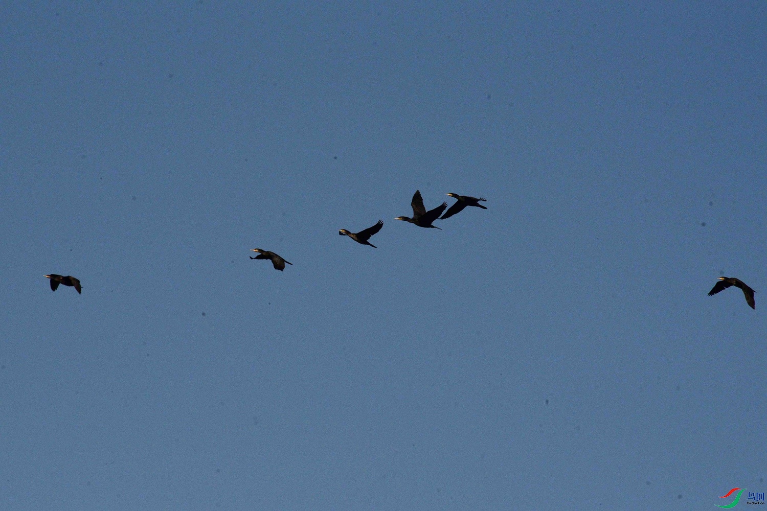 DSC_0178.JPG