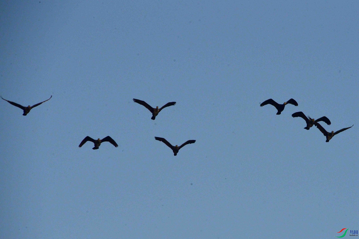 DSC_0184.JPG