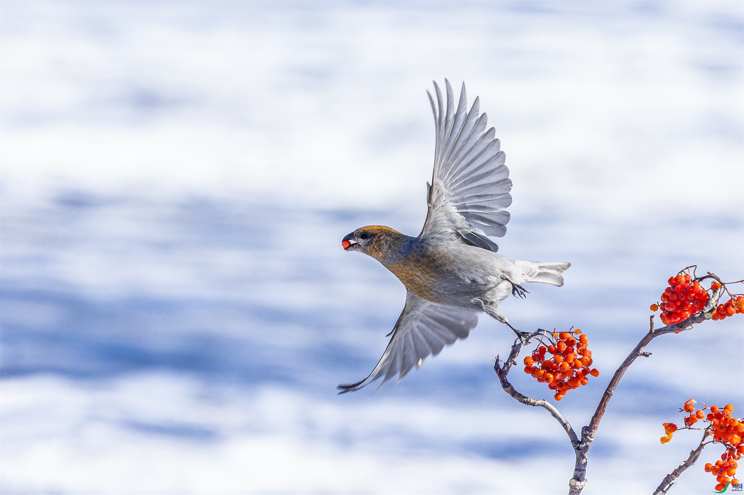 1K3A5327 ����1.jpg