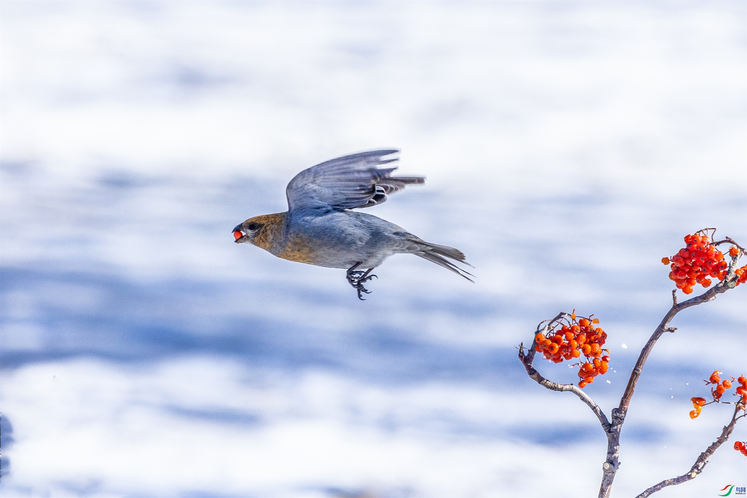 1K3A5329 ����1.jpg