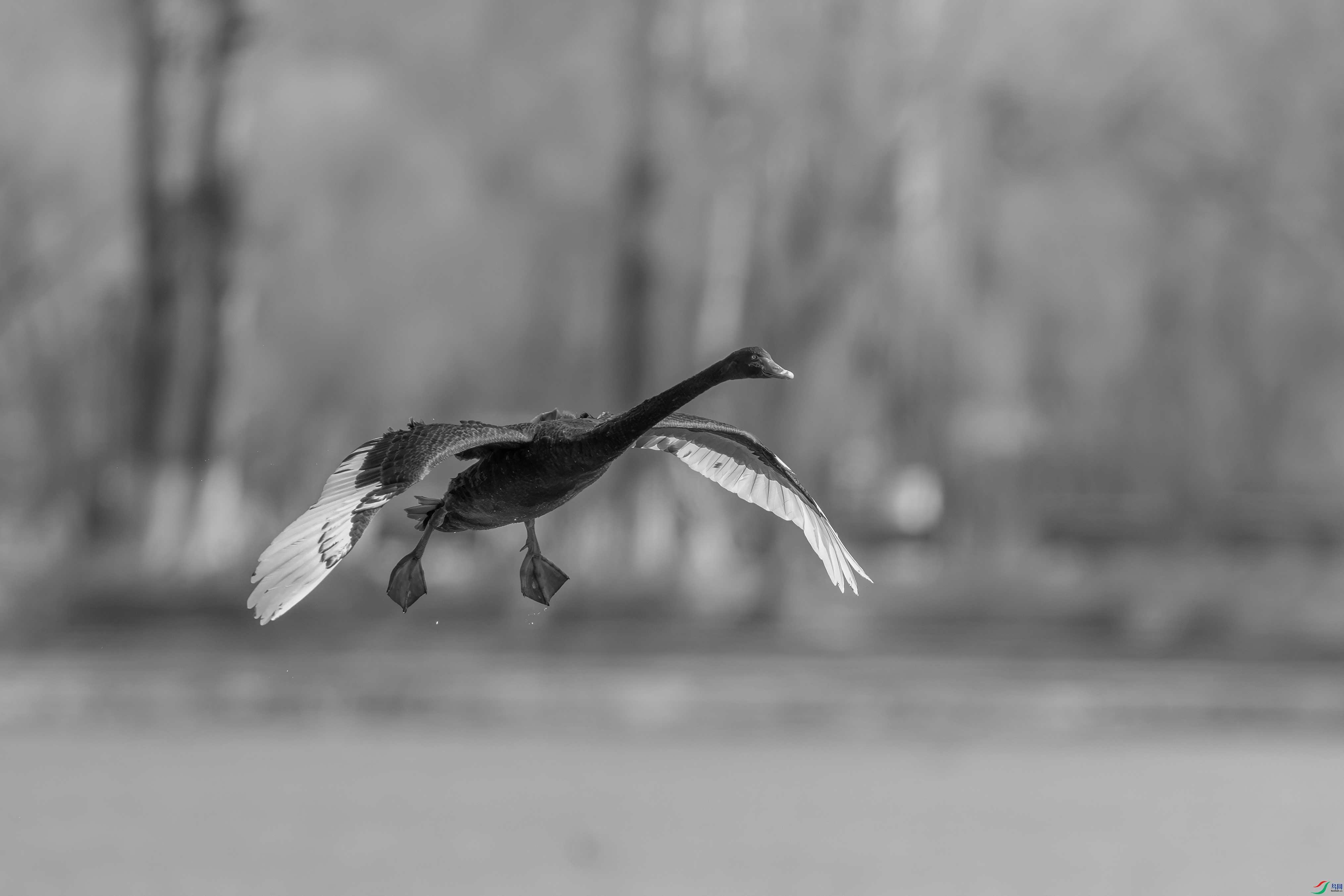 DSC_5550����.jpg