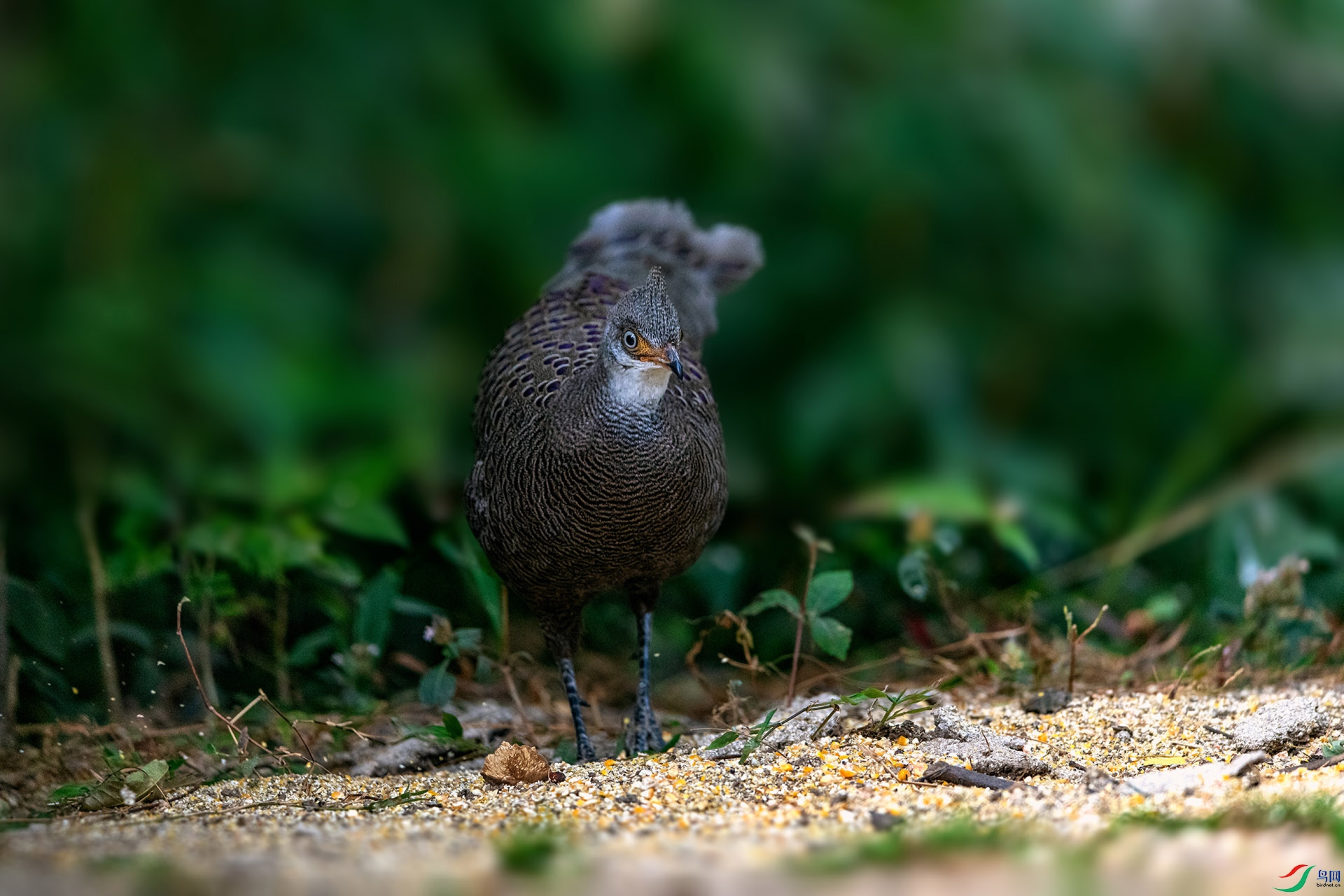 _AUU7136�ҿ�ȸ��(24.2.20).jpg