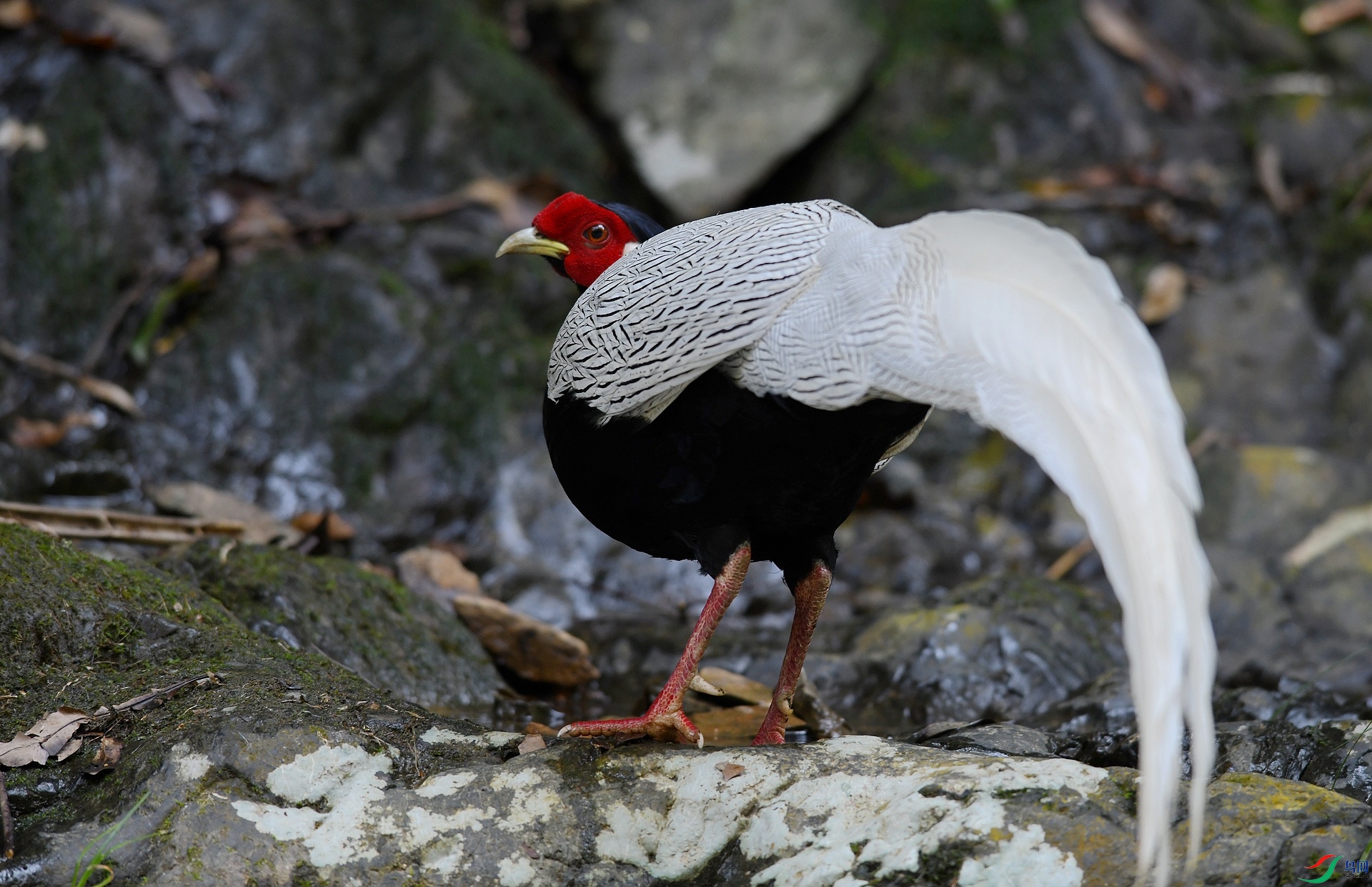 DSC_5340.jpg