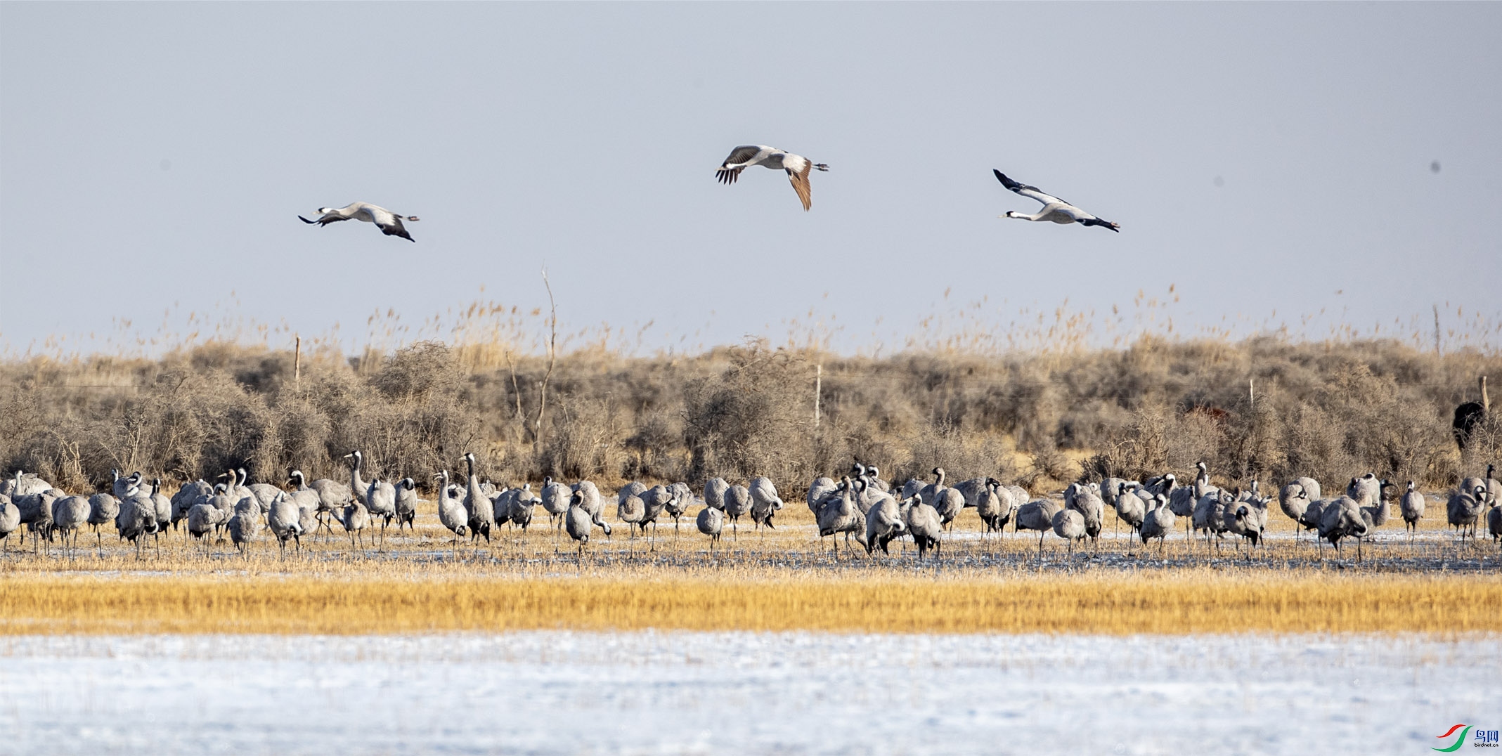 �Һ� ��Ϣ��һ��07 ����.jpg