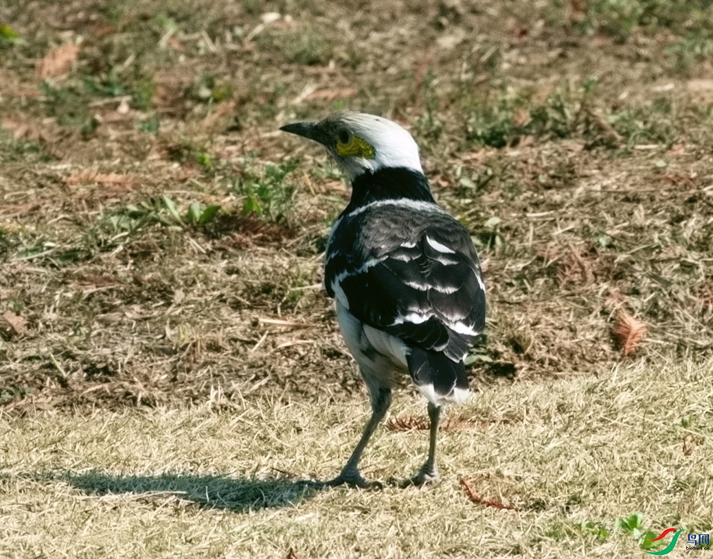 _DSC7689.jpg