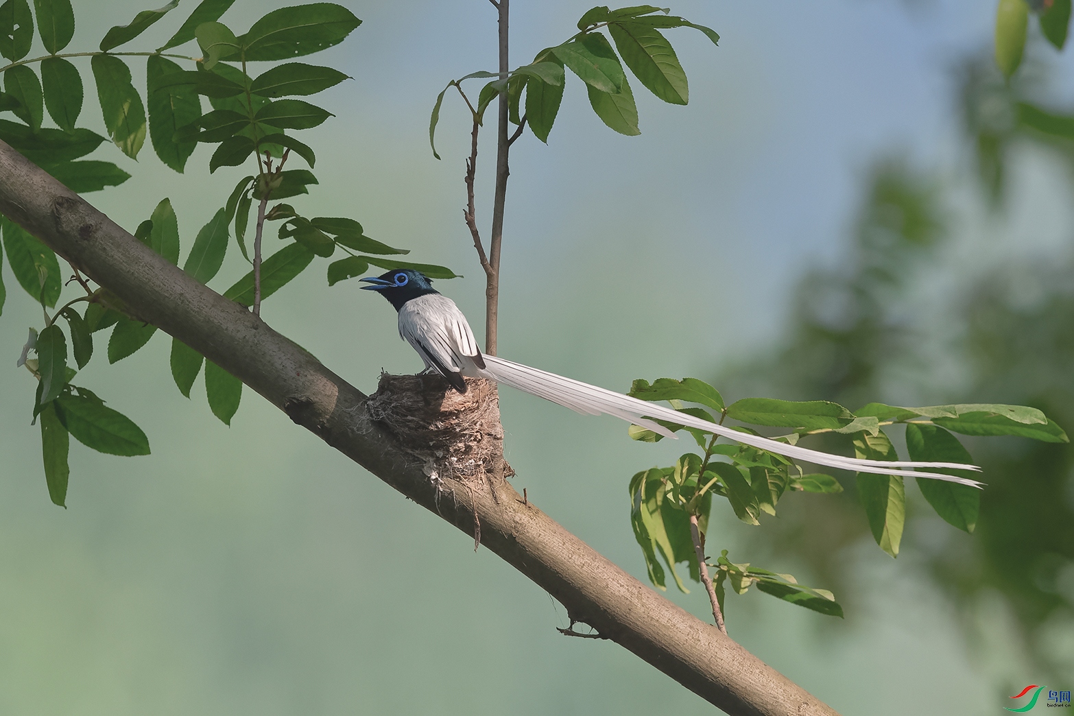 4DSC_8838_DxOa.jpg