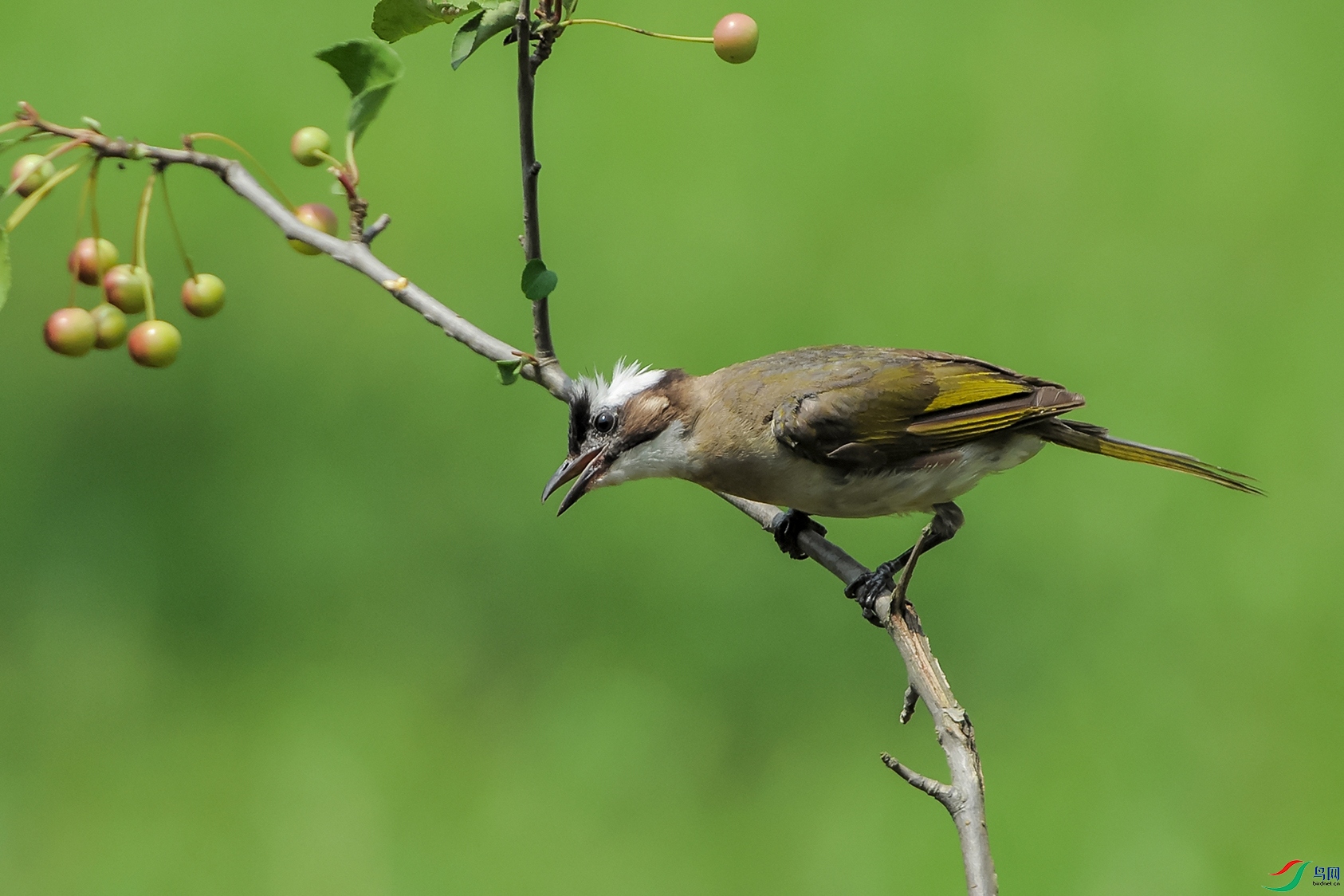 1DSC_0190_DxOa.jpg