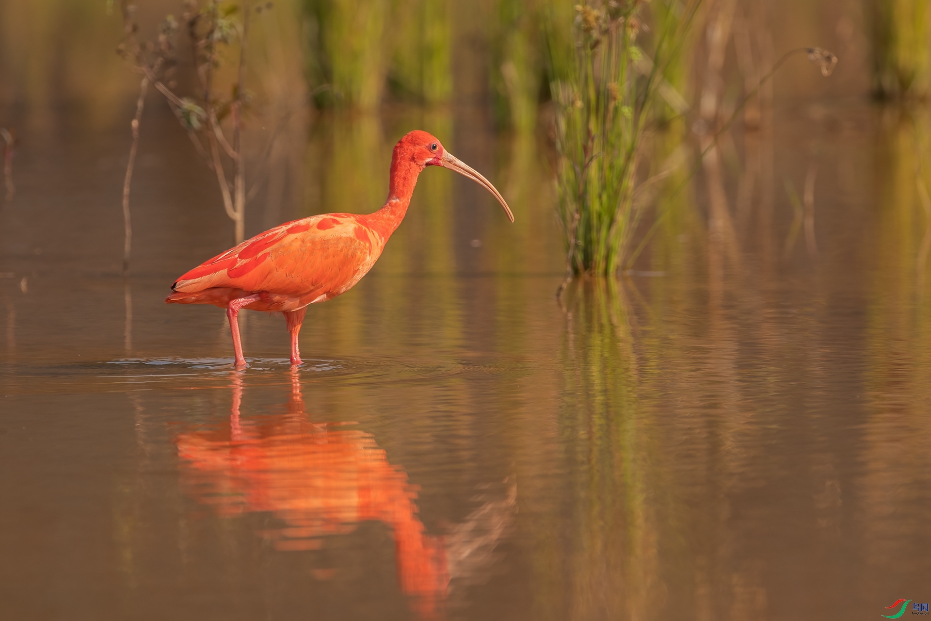 B86I6098 _����.jpg