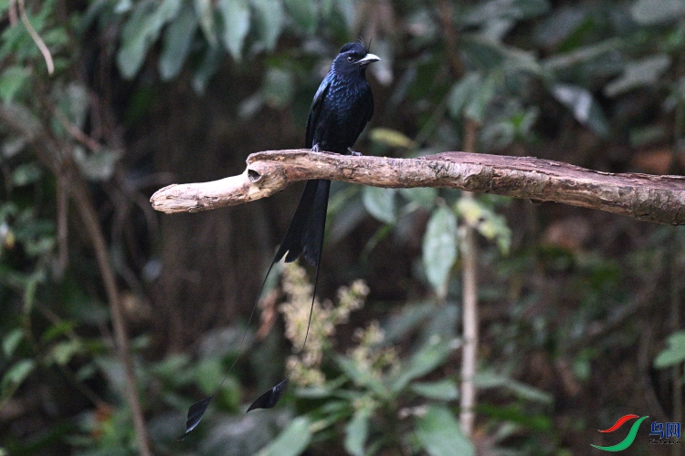 DSC_9621.JPG
