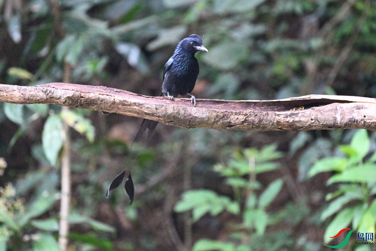 DSC_9742.JPG