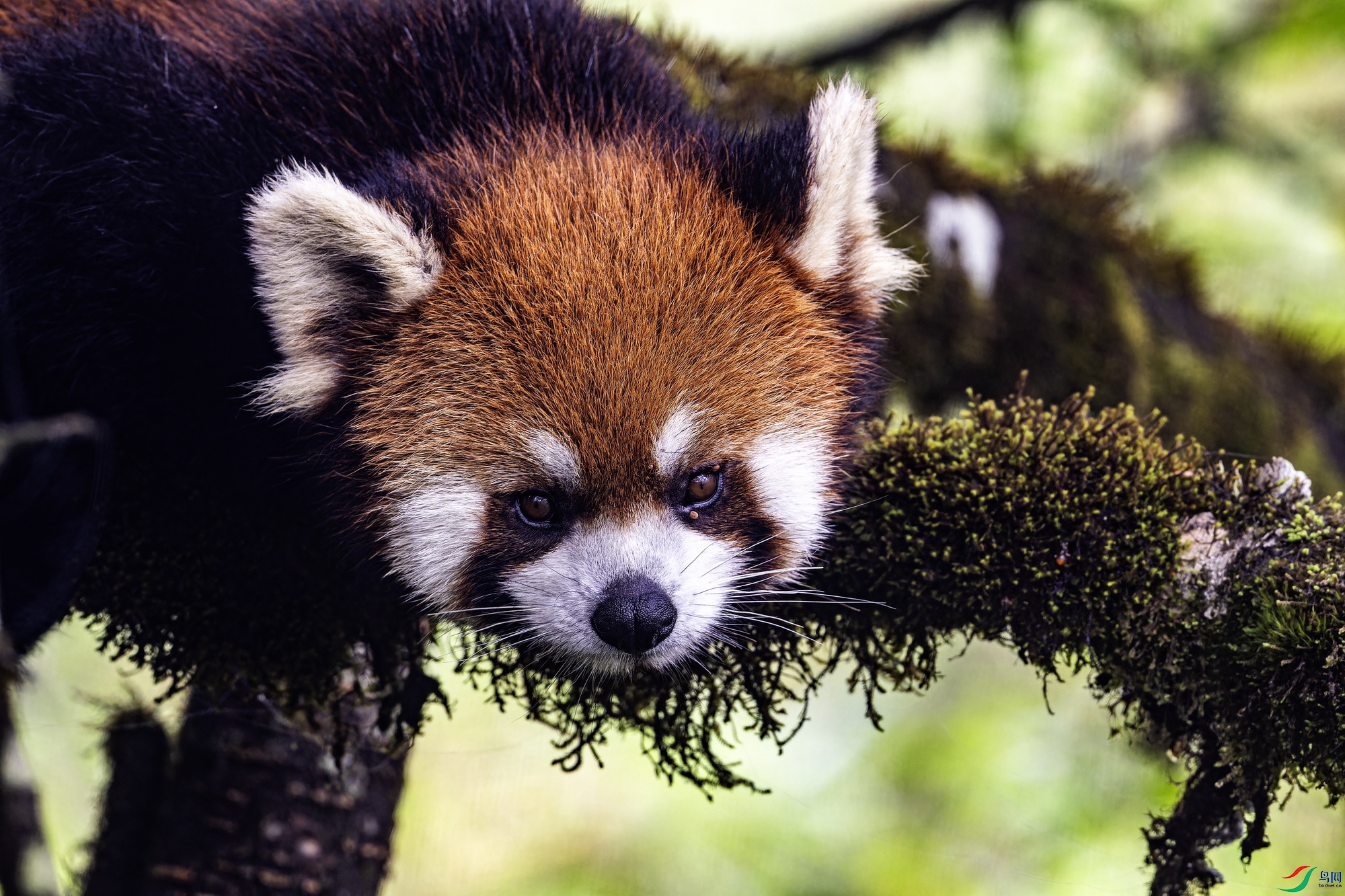 С��è (4)-1.jpg