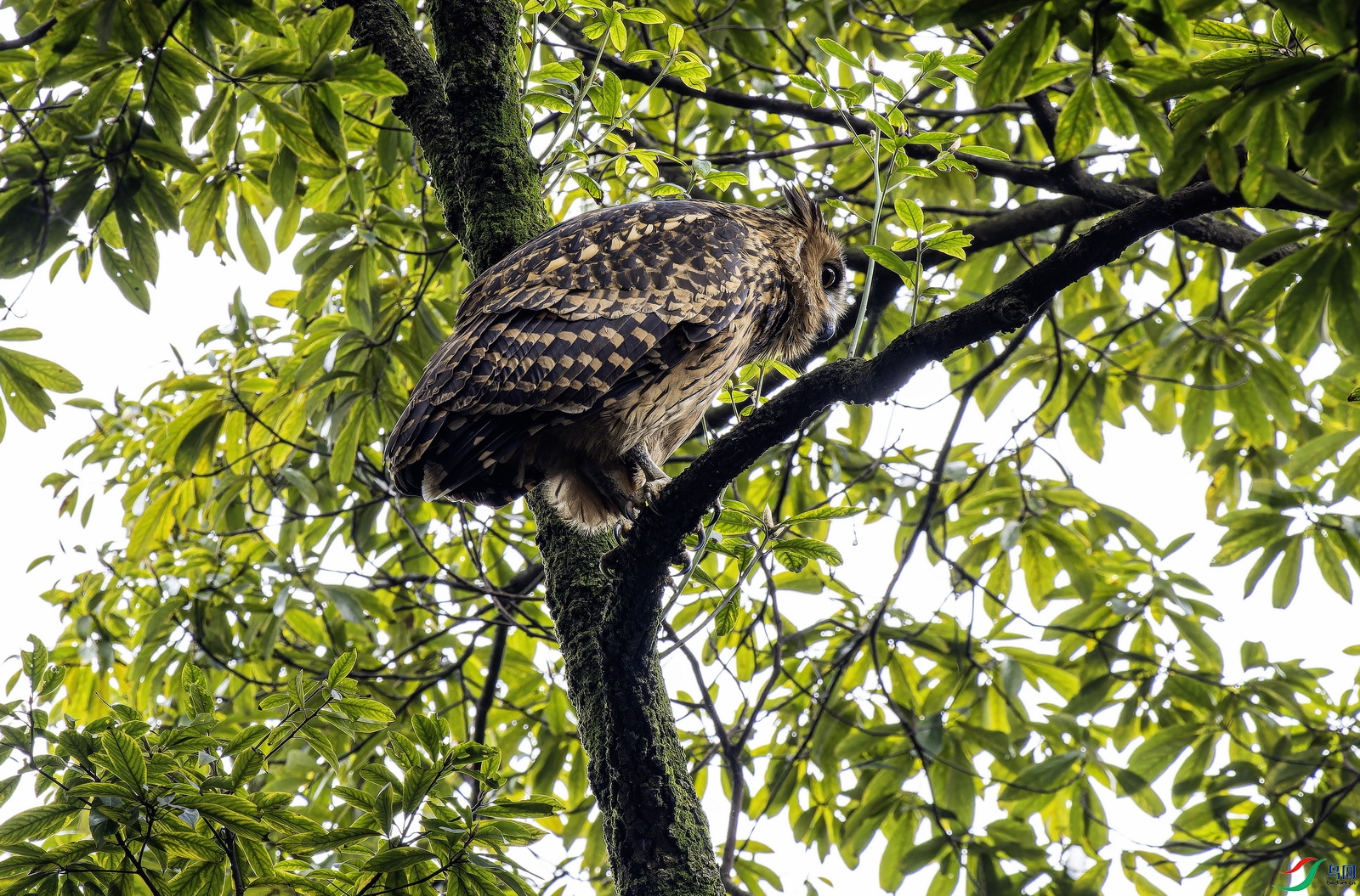 �������^-1 (26)-1.jpg