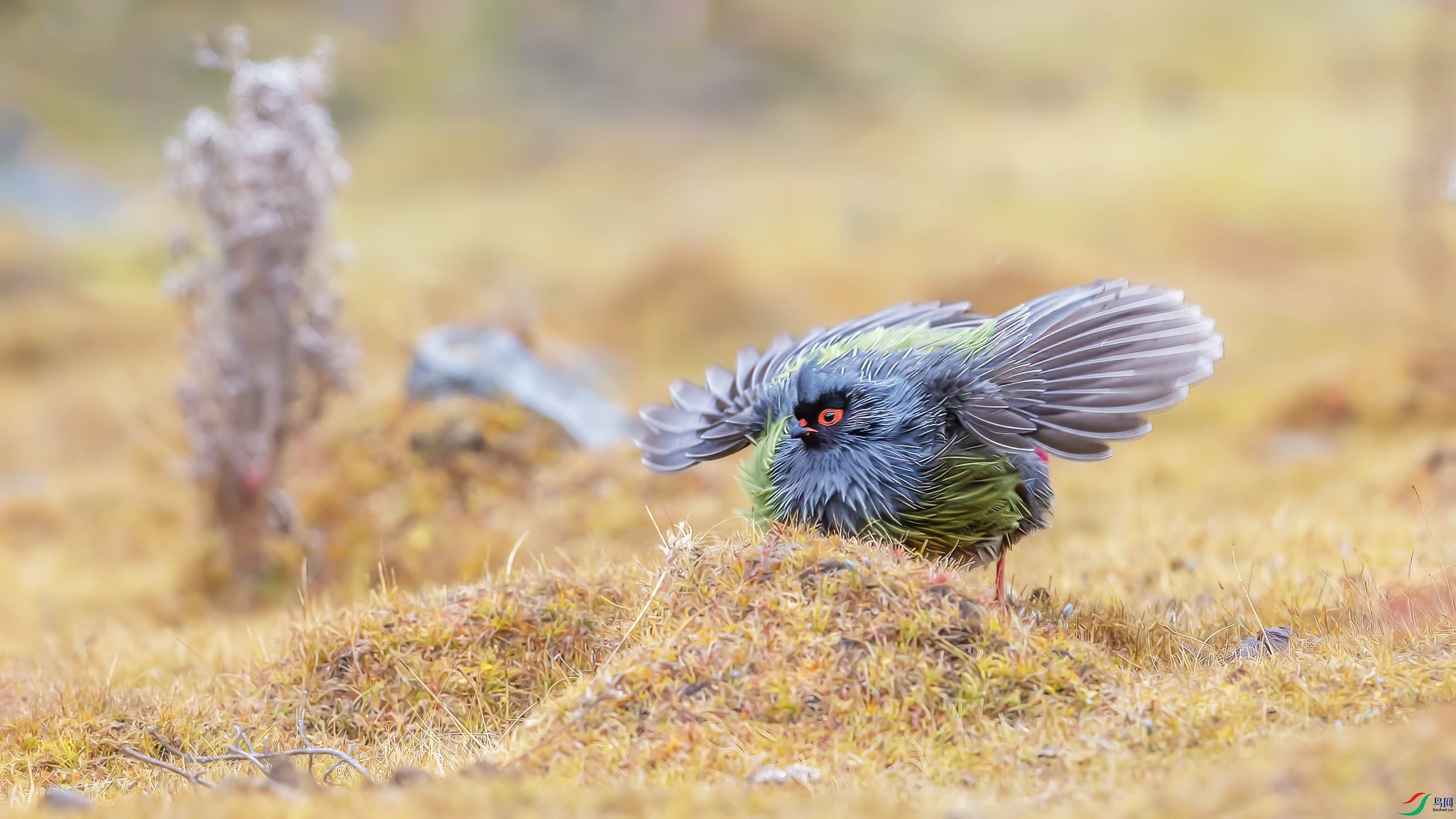 _09R9345 ����.jpg