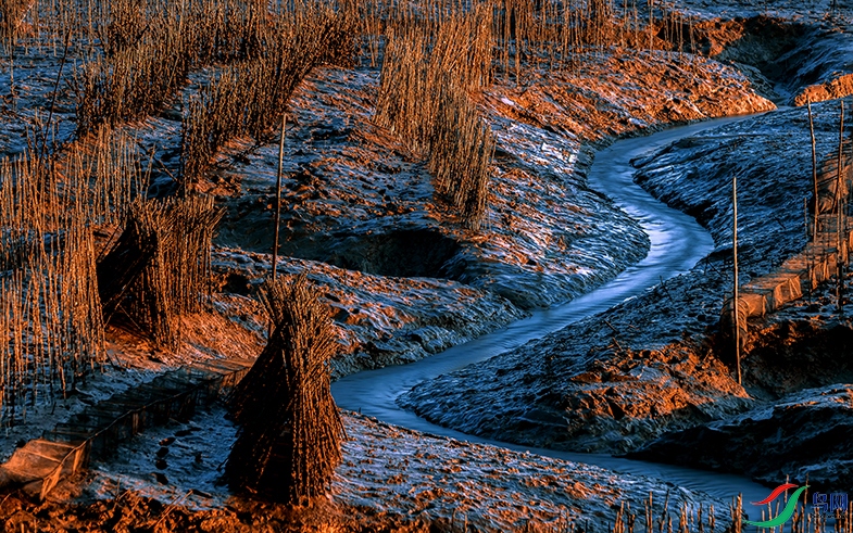 3Z0A7796.jpg