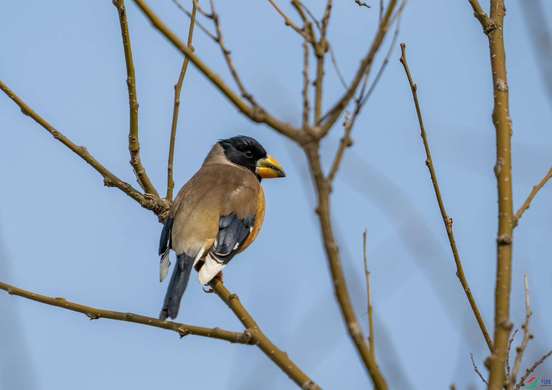 DSC_4301.jpg