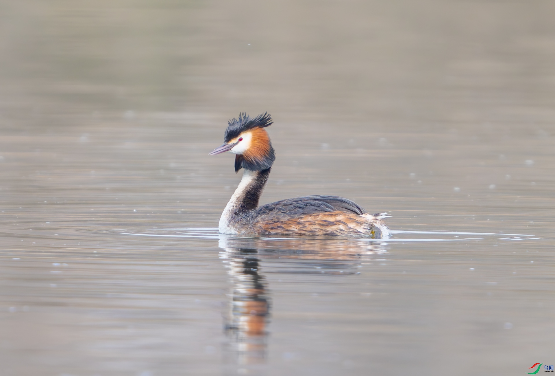 DSC_0547.jpg