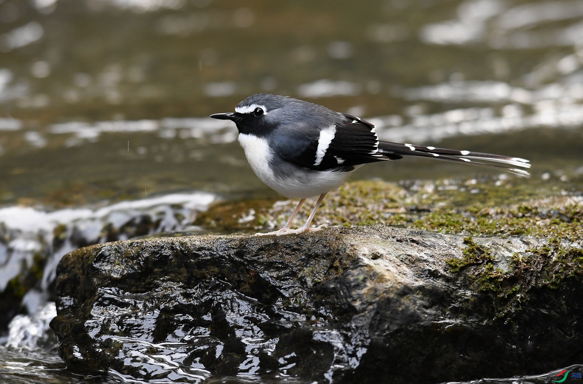 DSC_5739.jpg