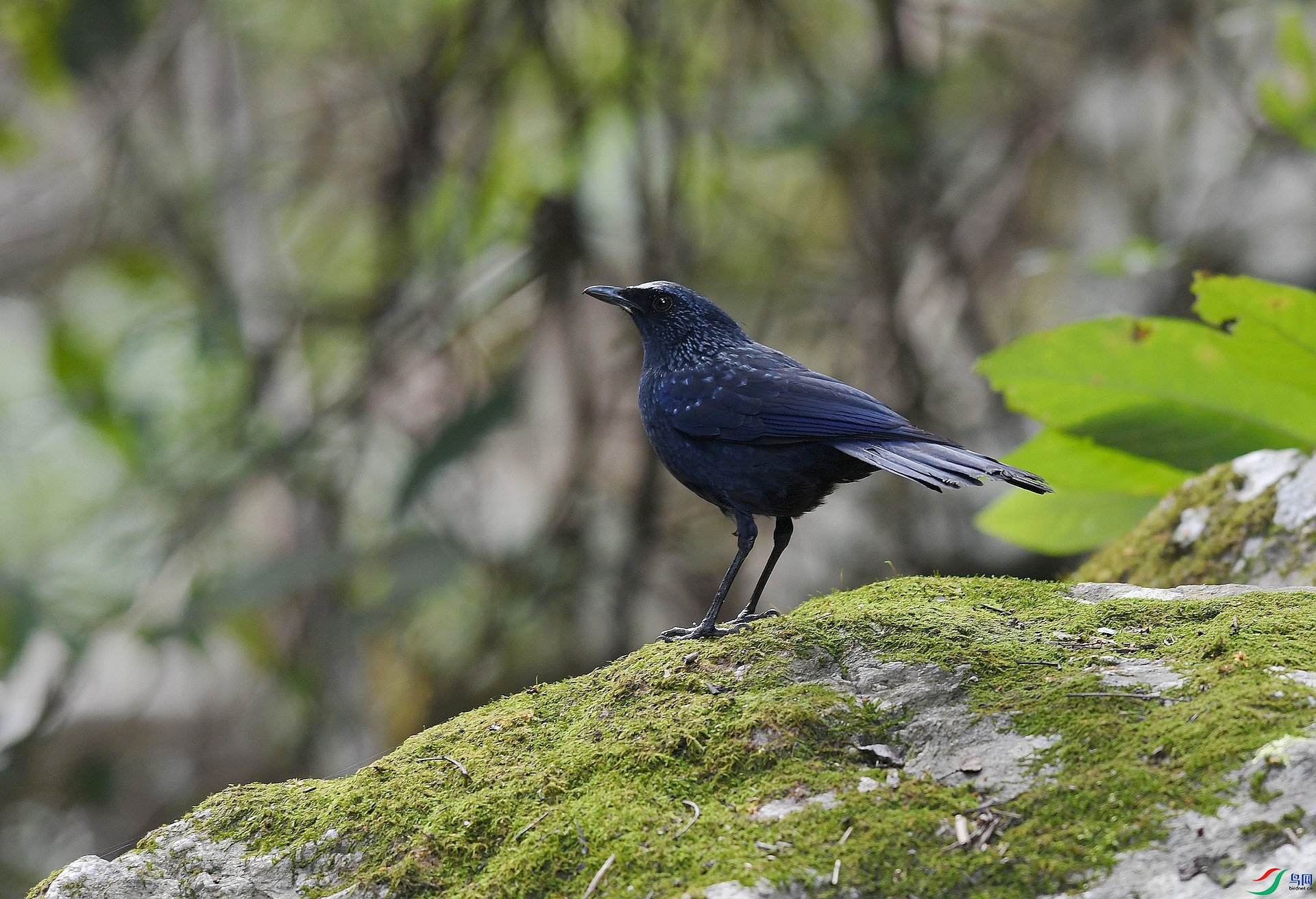 DSC_5405.jpg