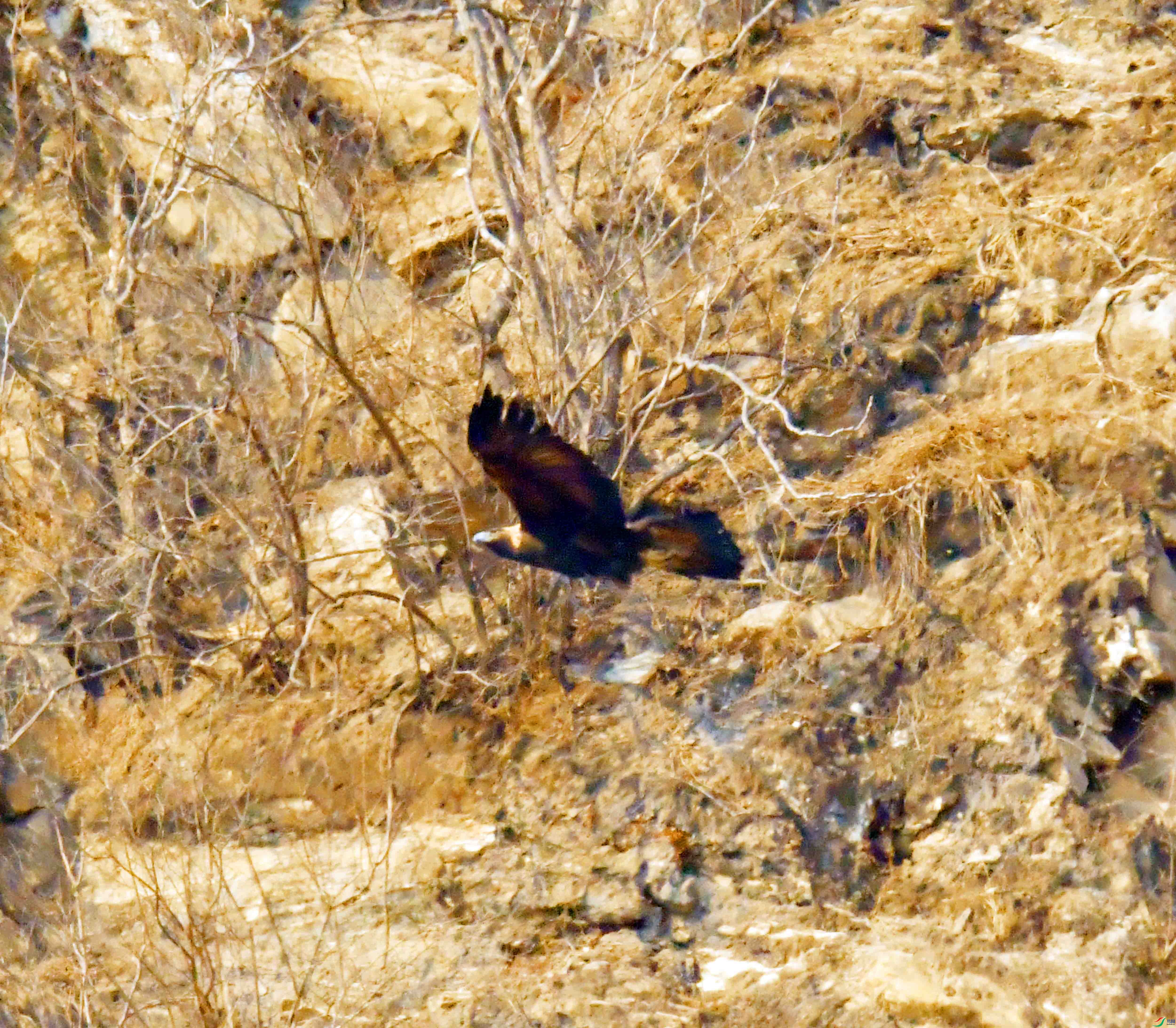 DSC_8541.JPG