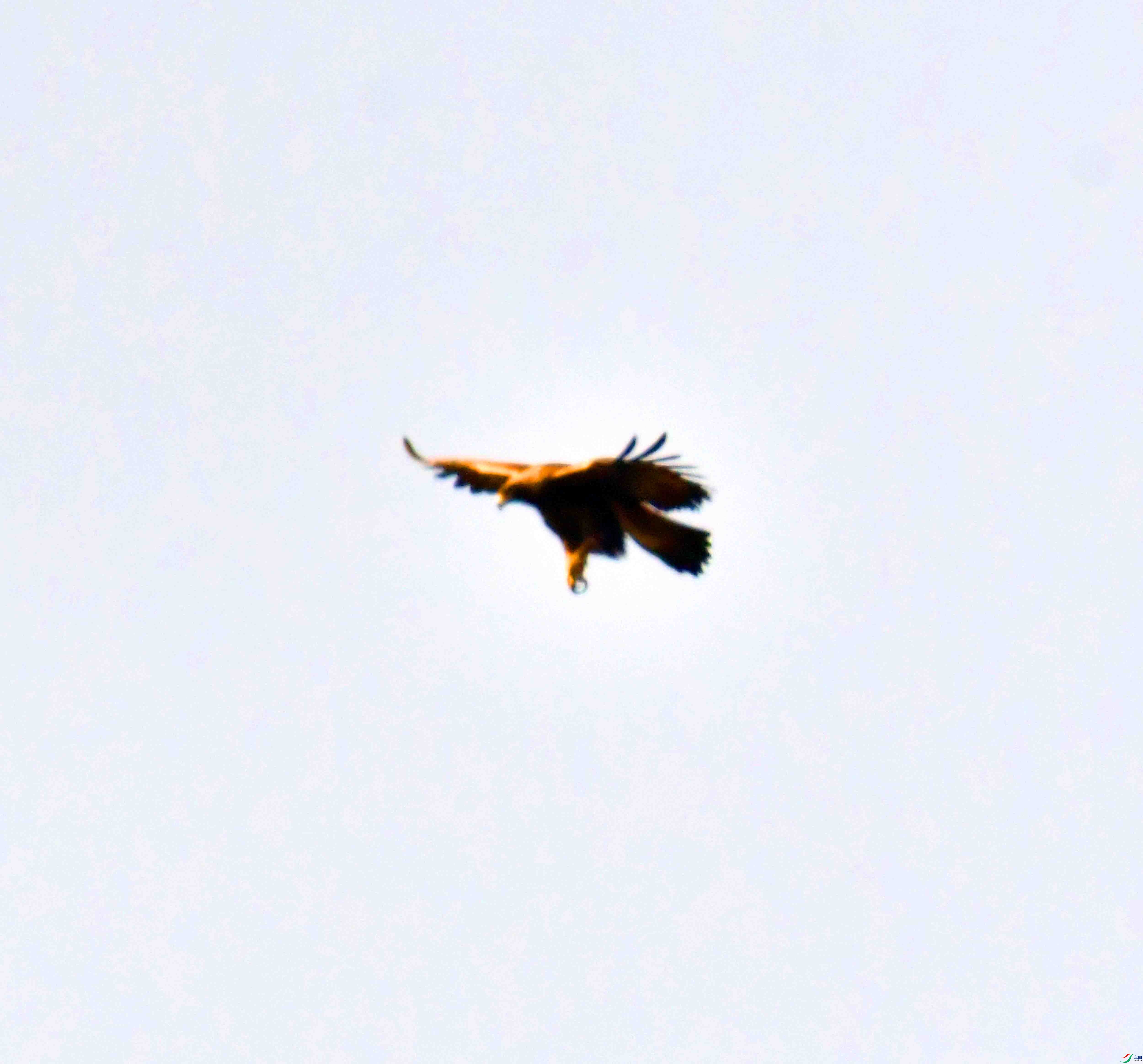 DSC_8616.JPG
