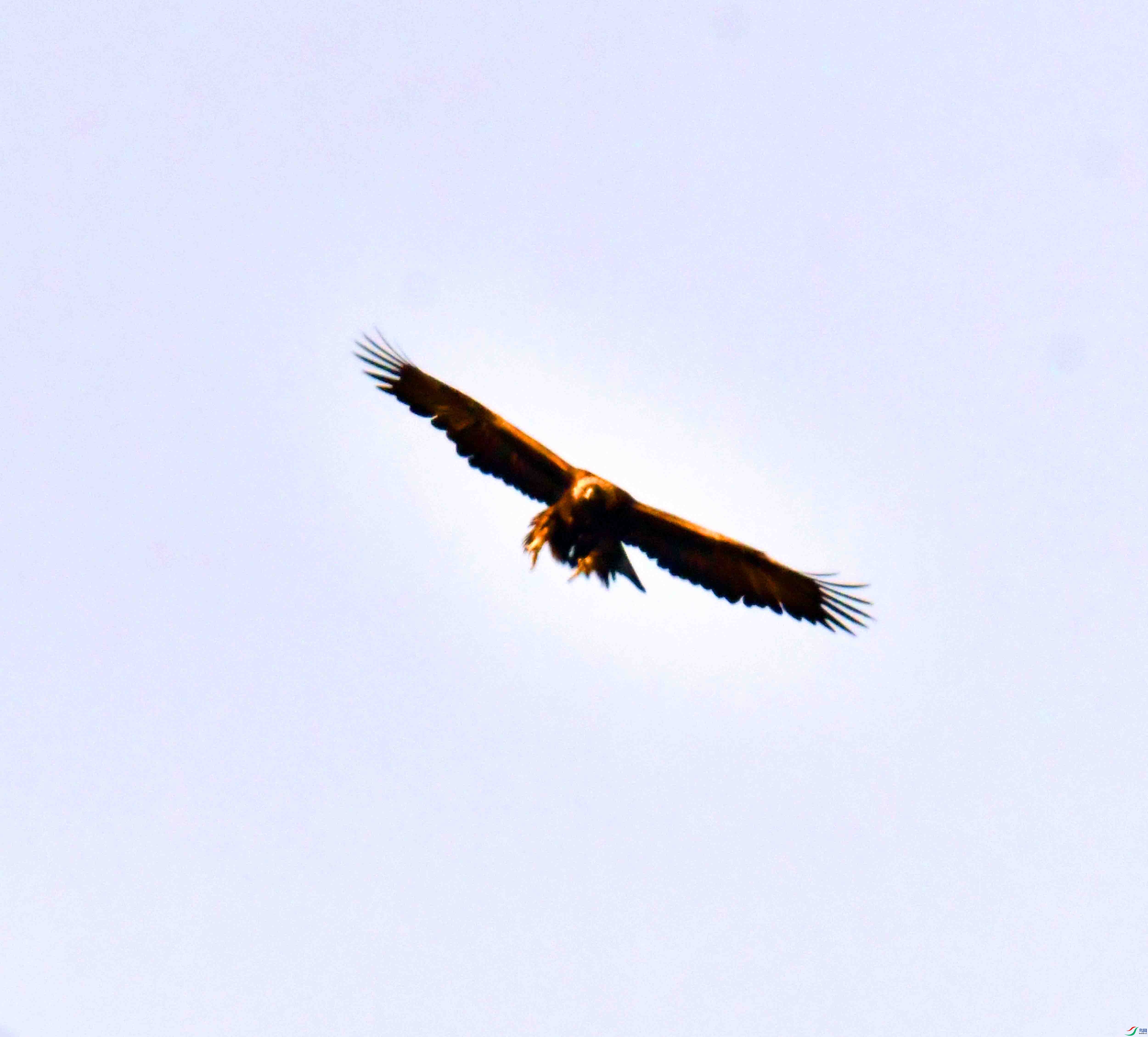 DSC_8618.JPG