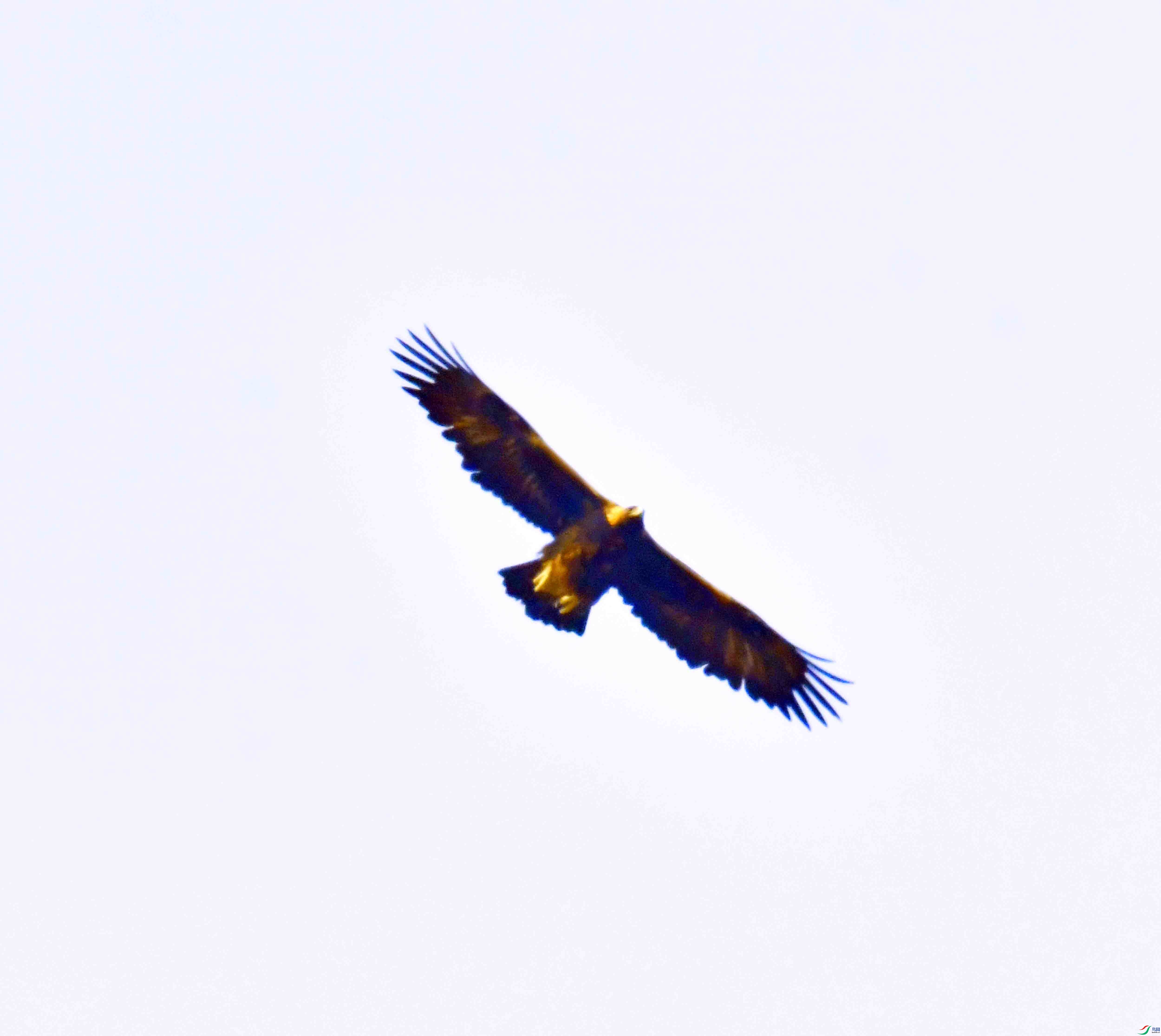 DSC_8621.JPG