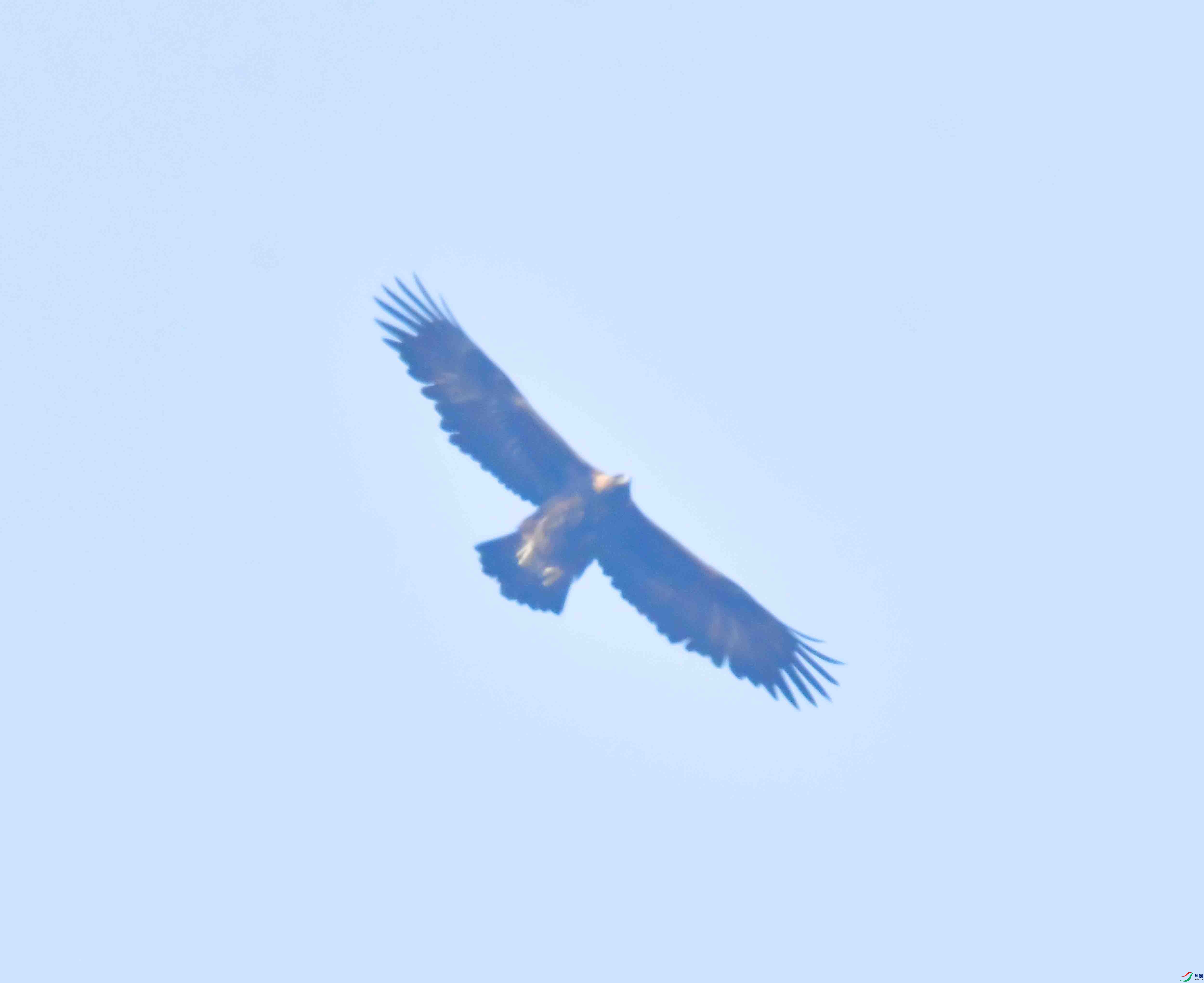 DSC_8622.JPG