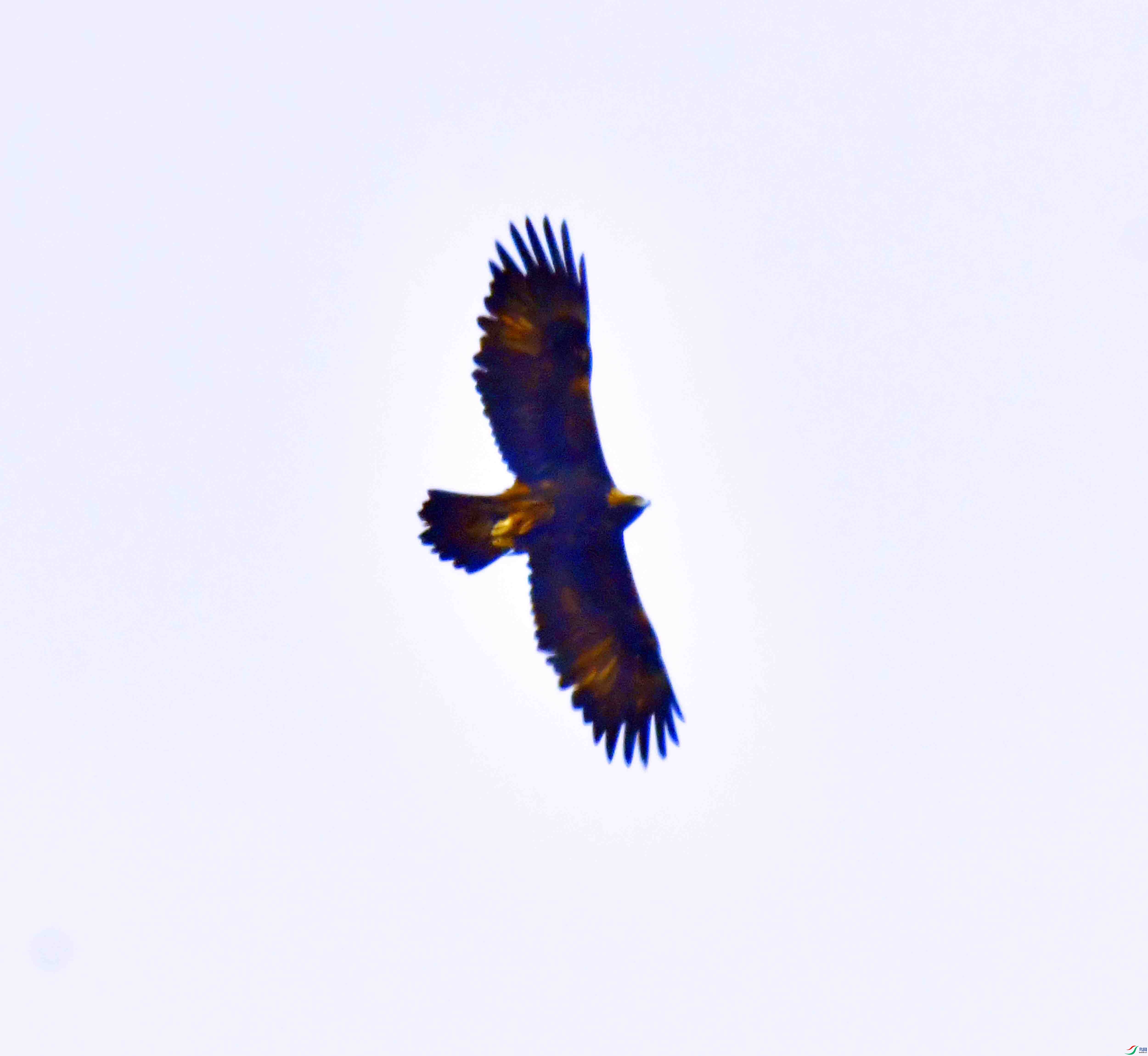 DSC_8625.JPG