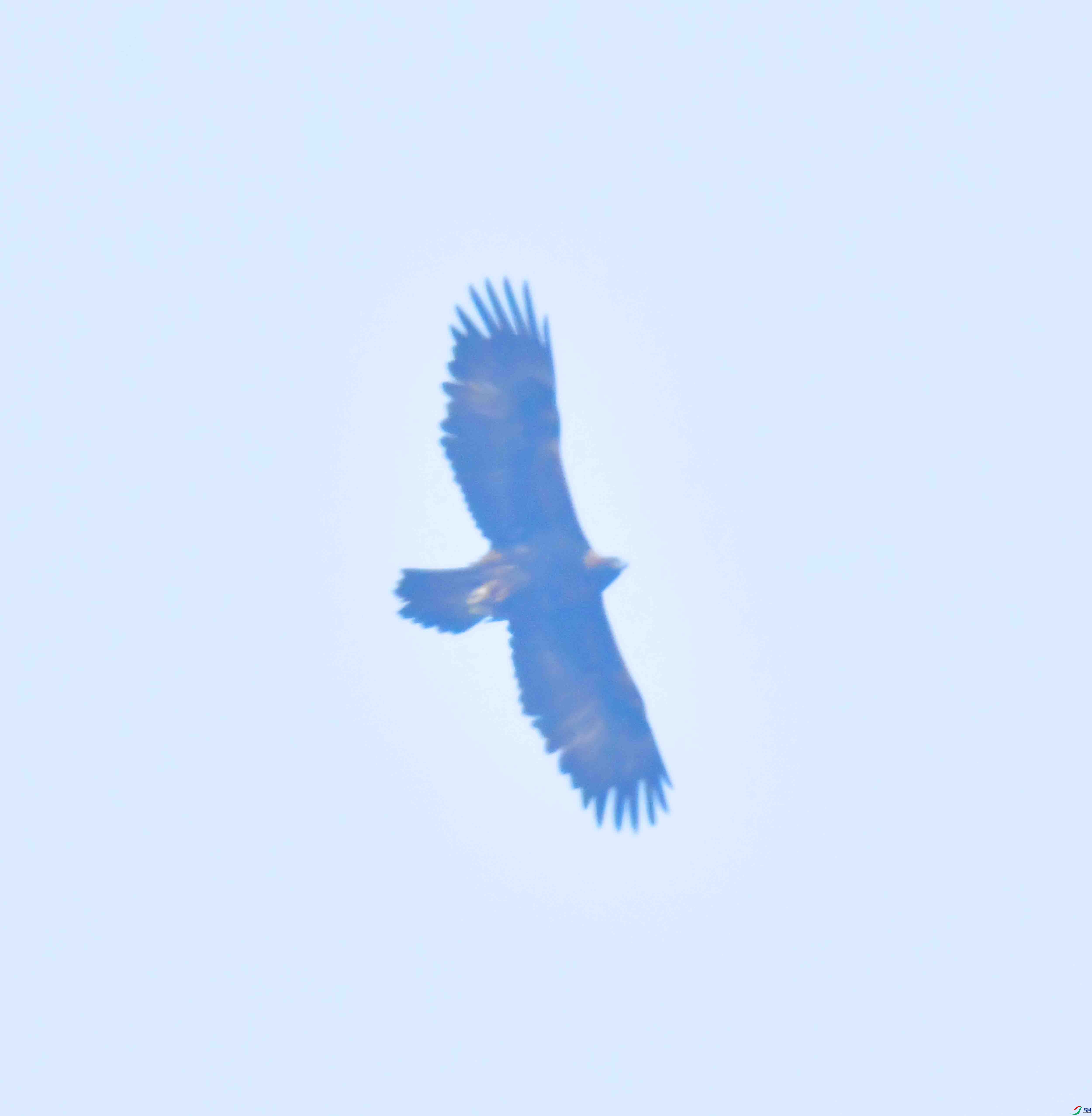 DSC_8624.JPG