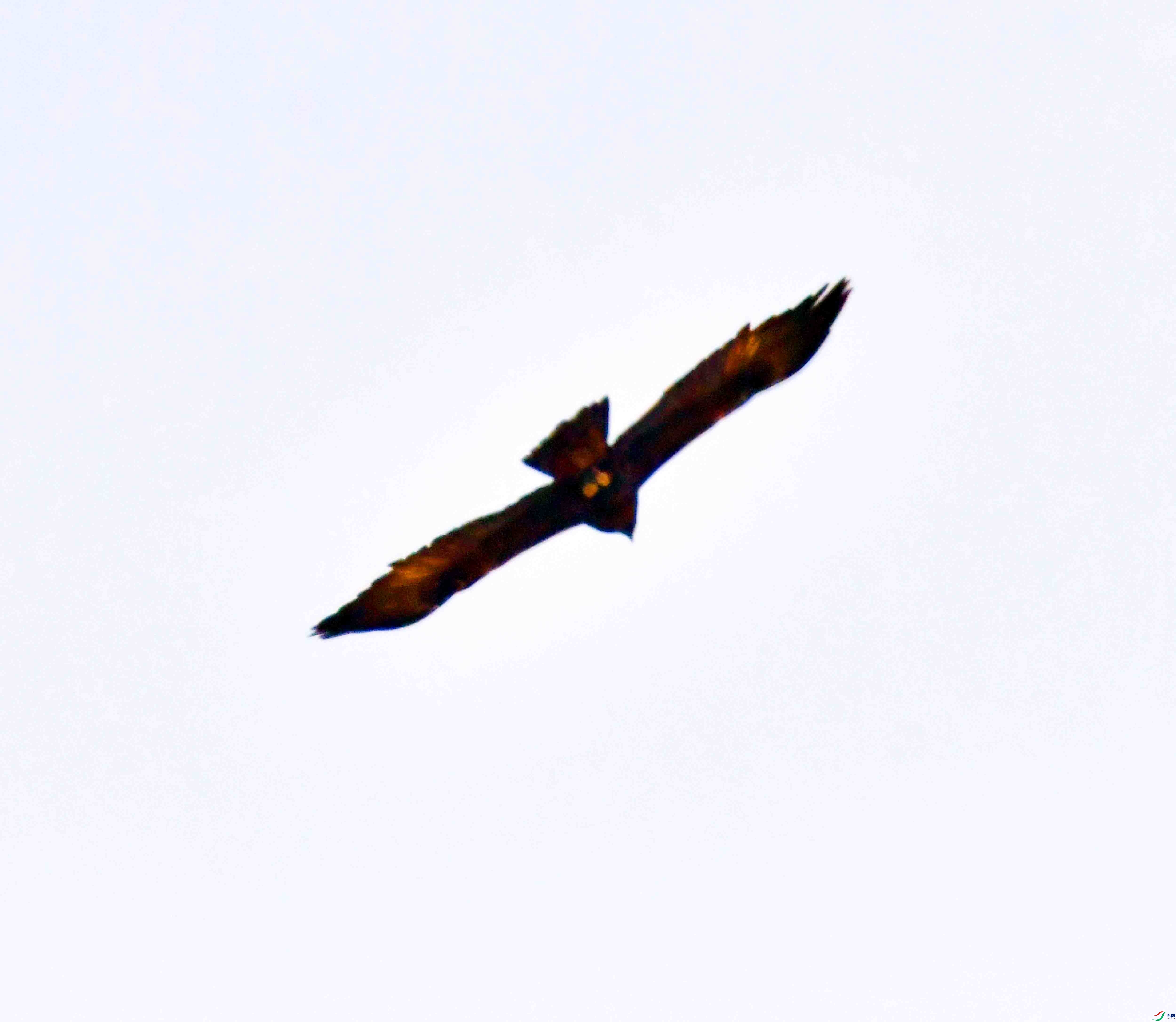 DSC_8629.JPG