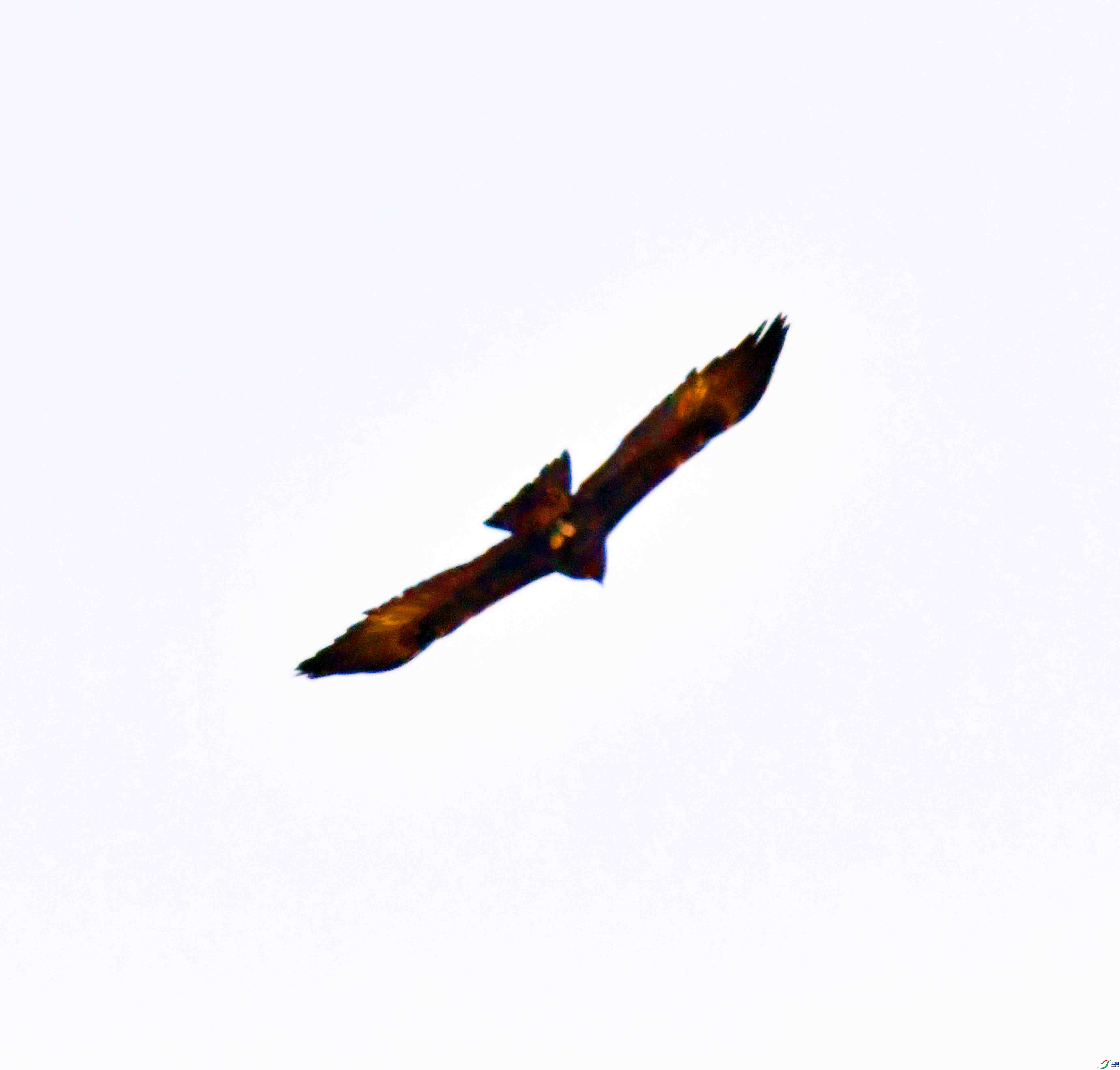 DSC_8628.JPG