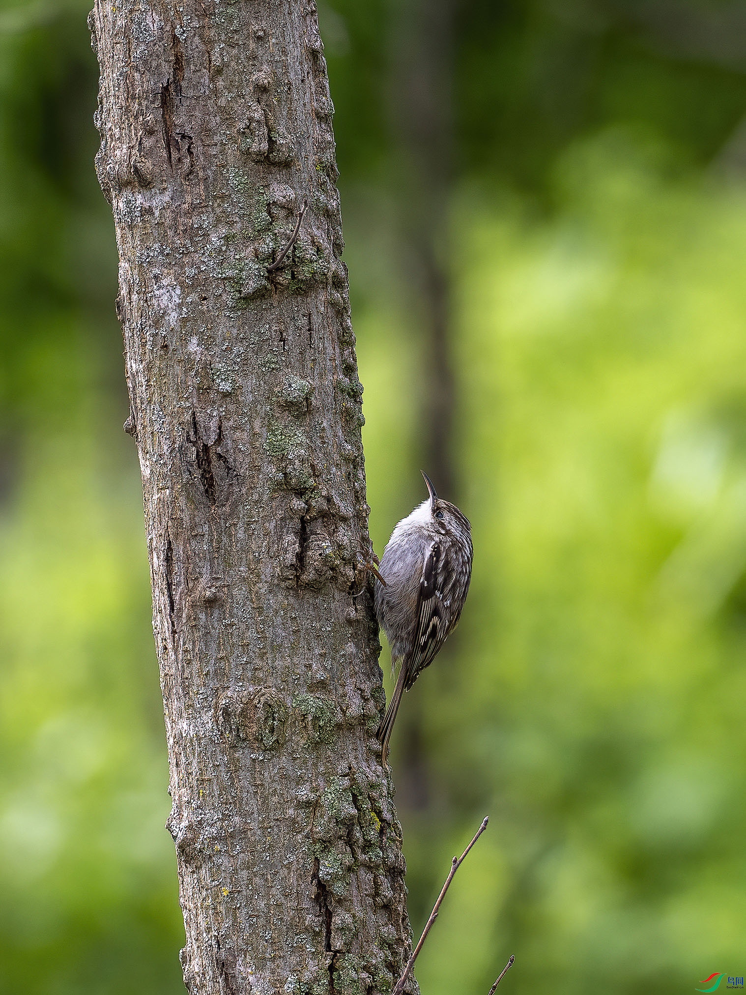 01 P3147744-DeNoiseAI-clear.jpg