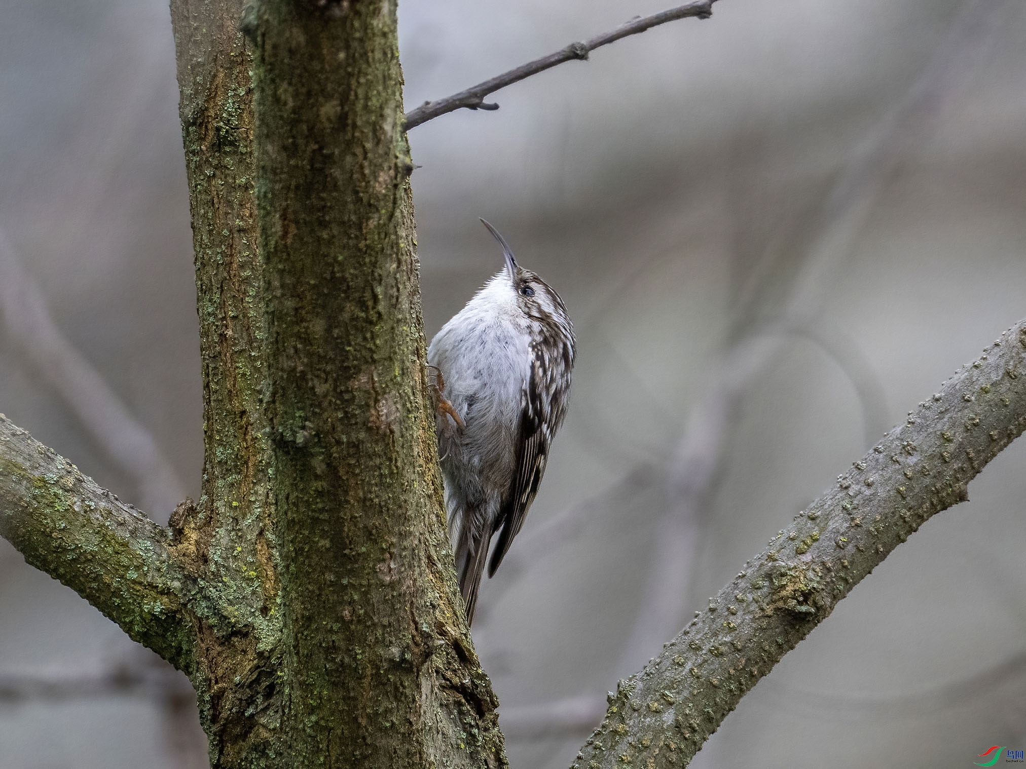 04 P3137097-DeNoiseAI-low-light.jpg