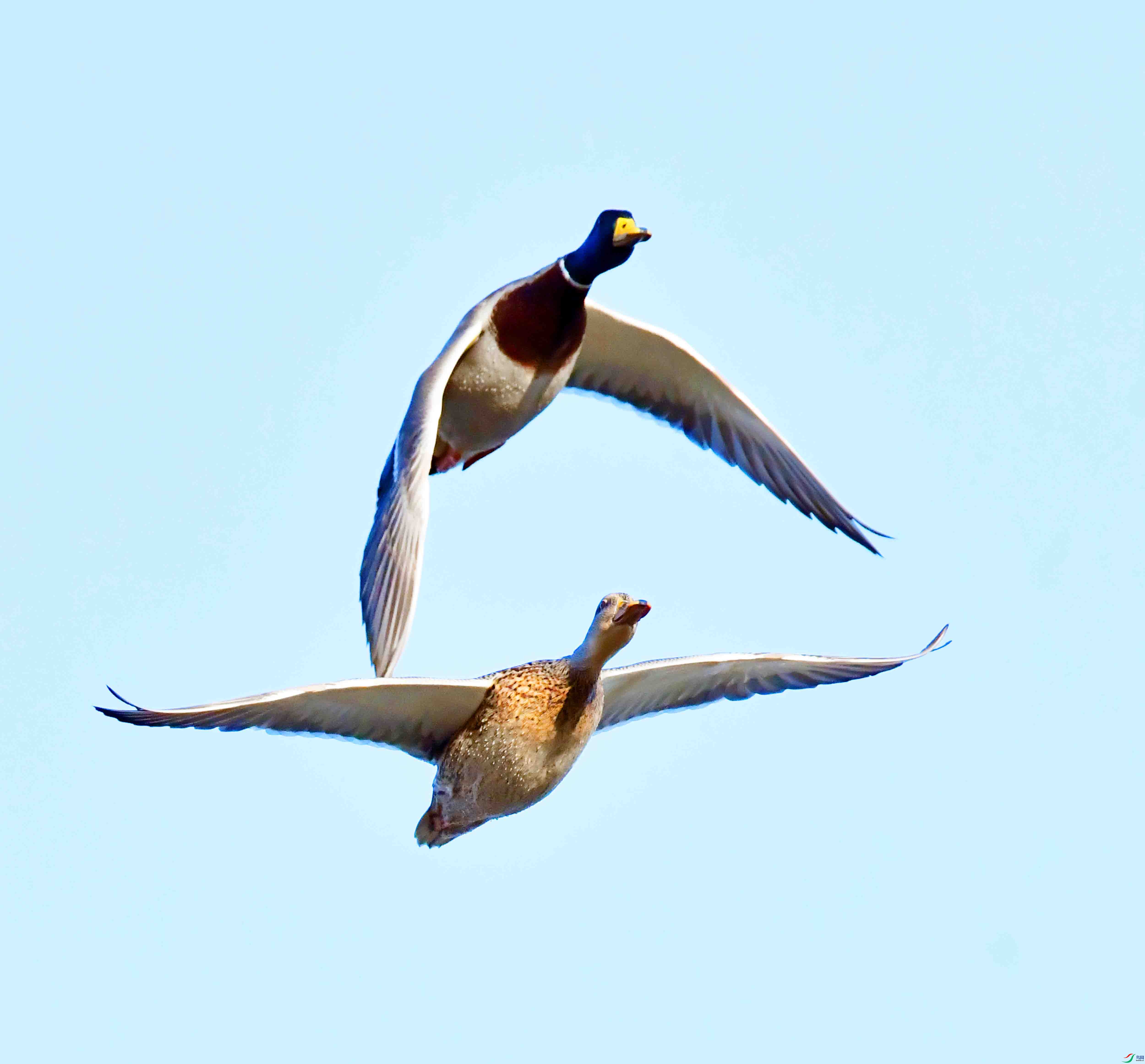 DSC_9784.JPG
